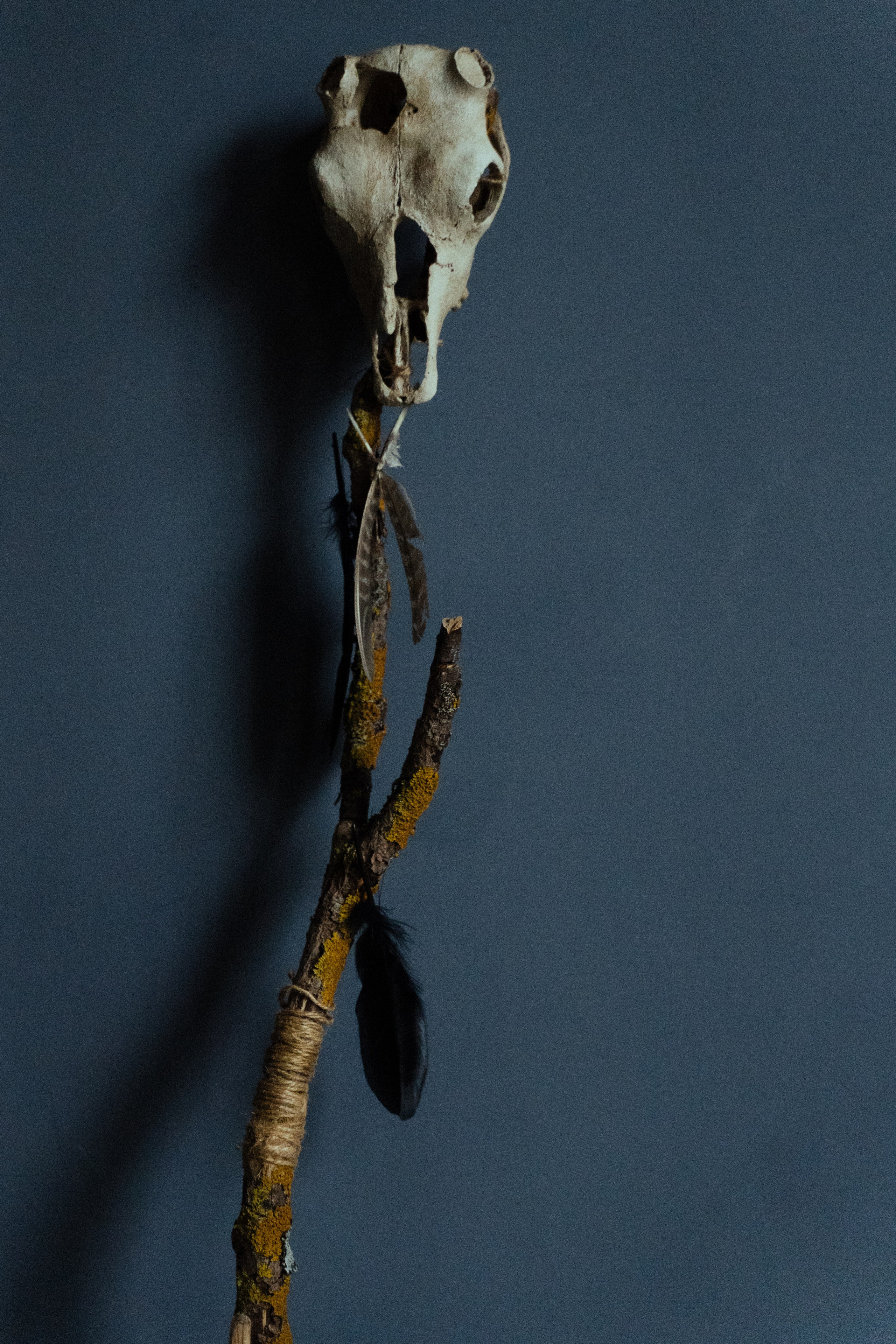 Встреча вёльвы и викига. Фотограф в Москве и Нижнем Новгороде Никонова Анастасия