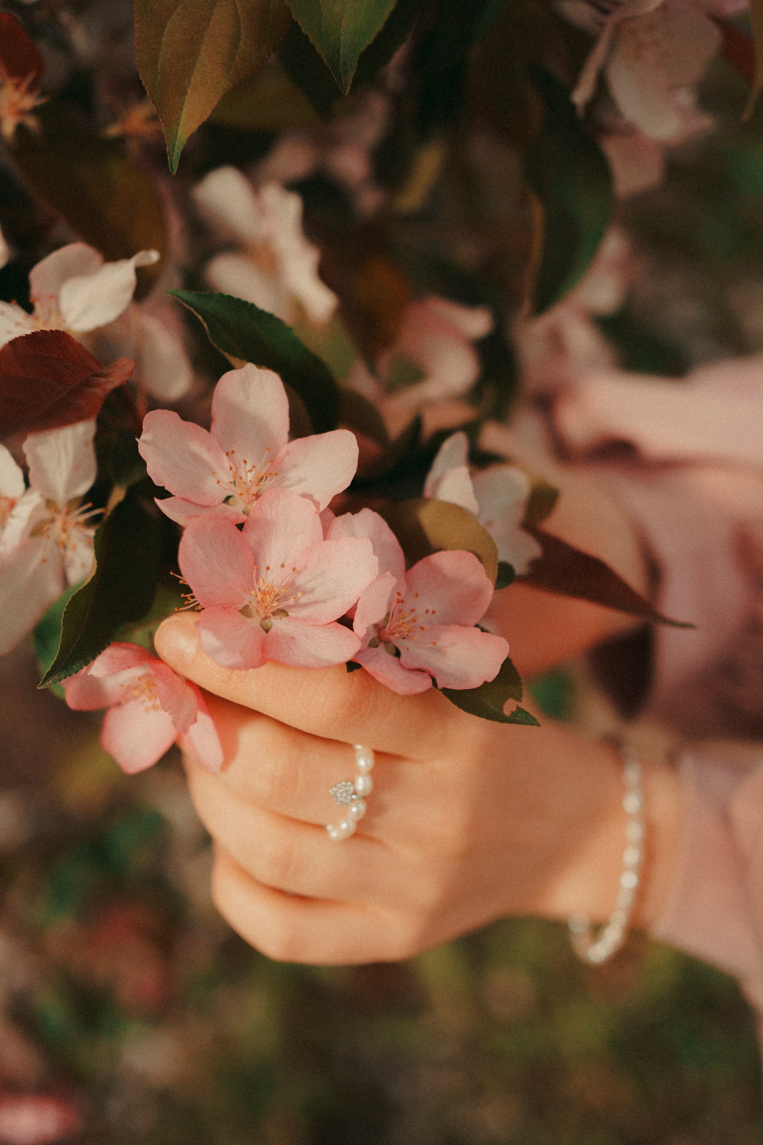 Цветочная история. Портретный фотограф в Казани, Красной Поляне и Сочи Анна Кузнецова