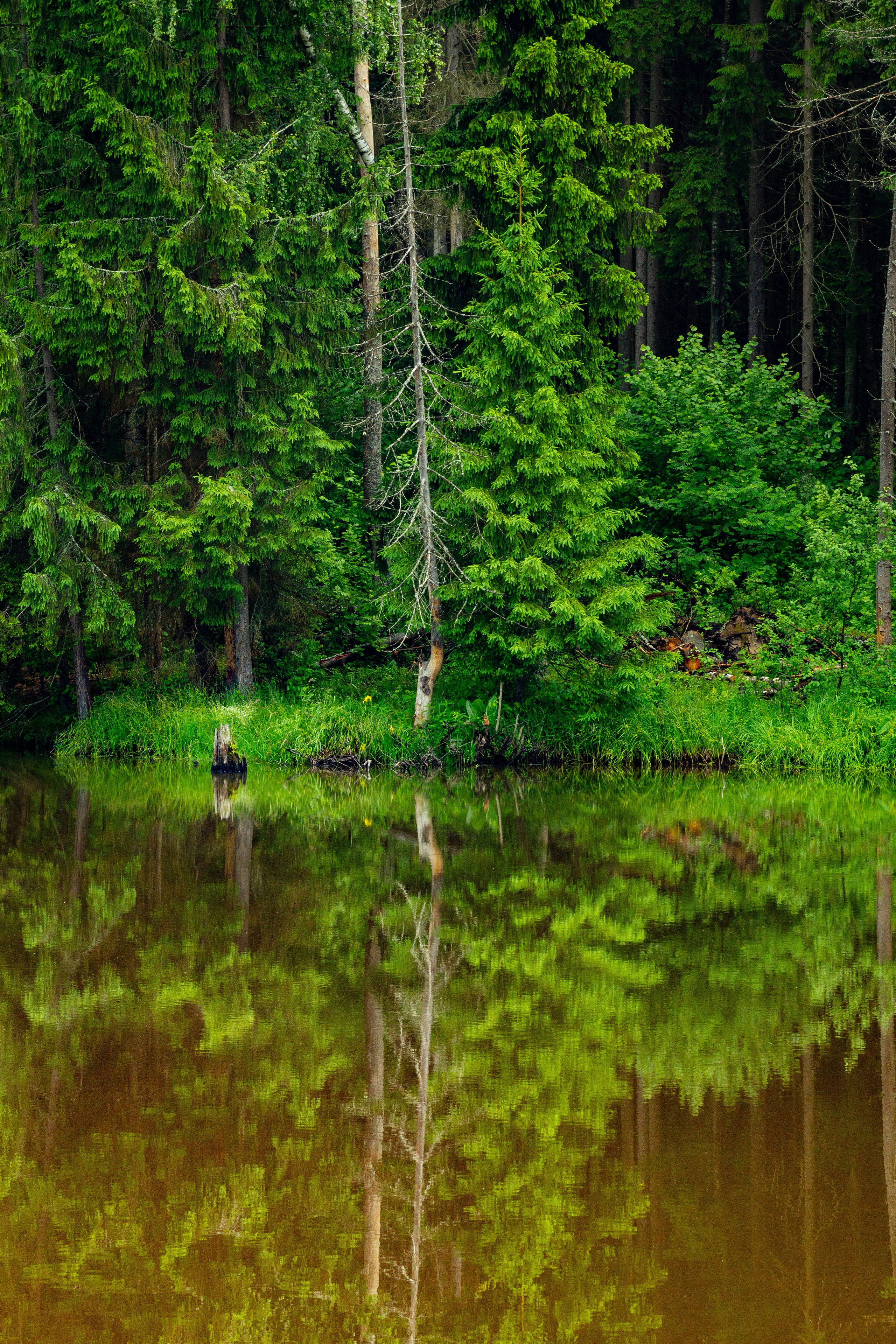 Dacha vibes. Папка кадров 📁