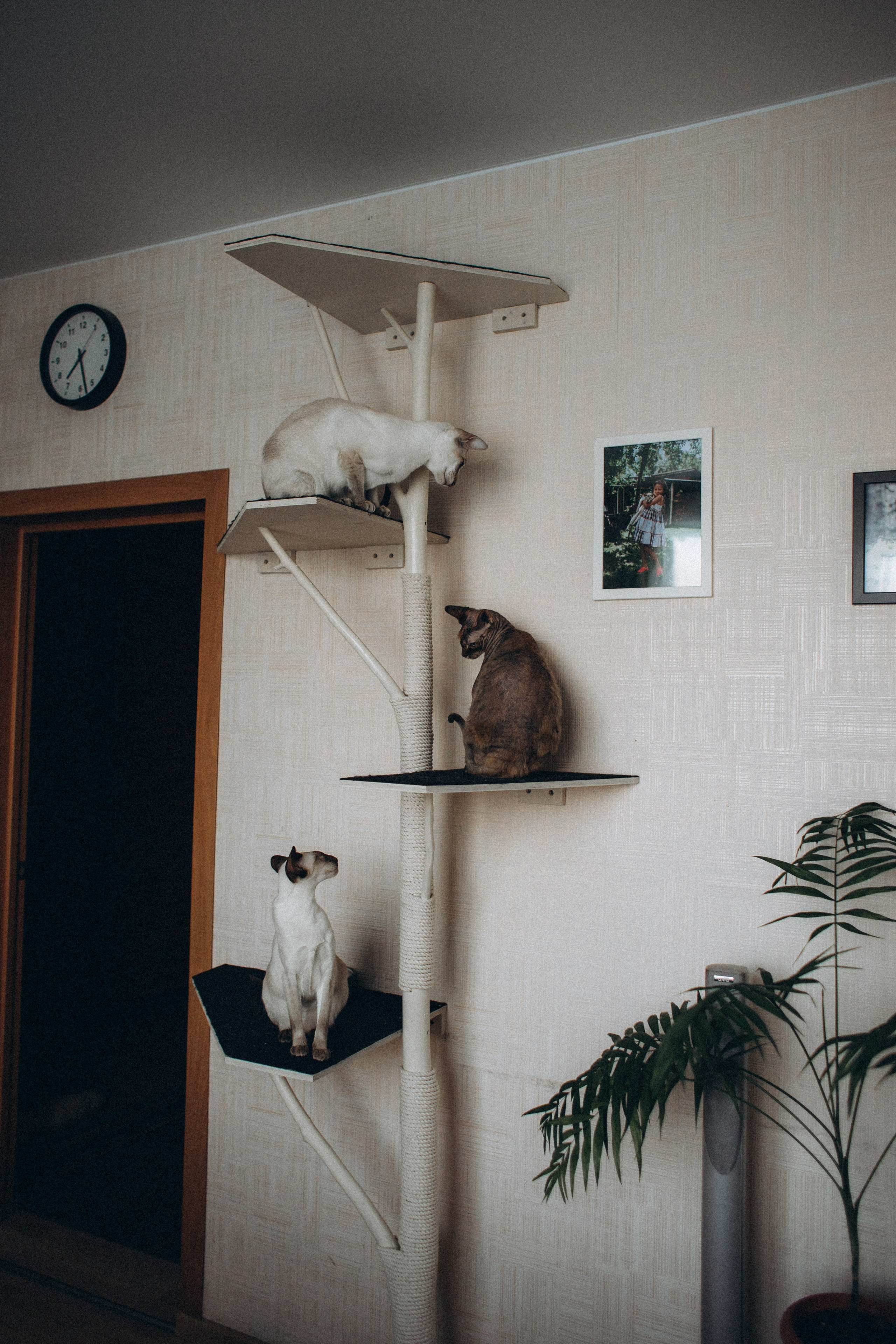 Домашние посиделки. Семейный фотограф Виктория Потехина Москва