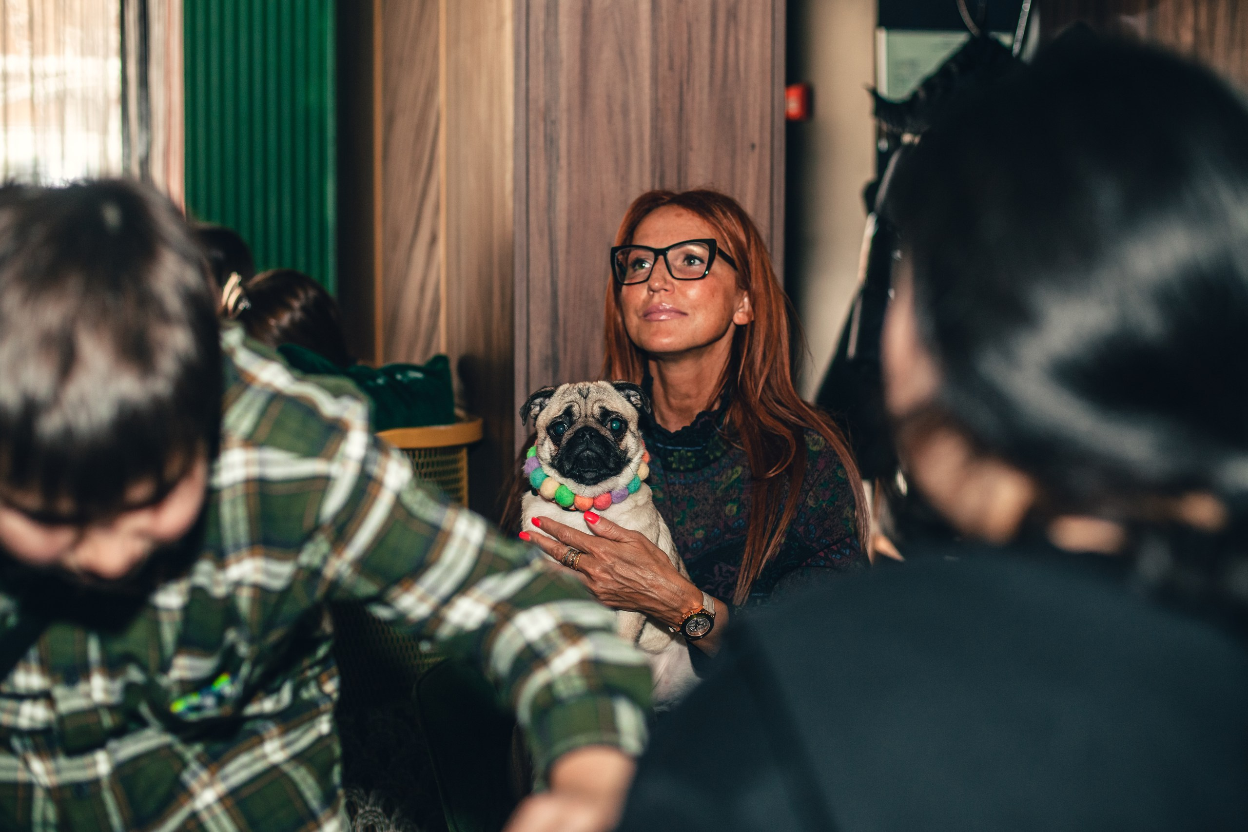 Мопсовстреча 02.12.2023. Фотограф-анималист Татьяна Степанова