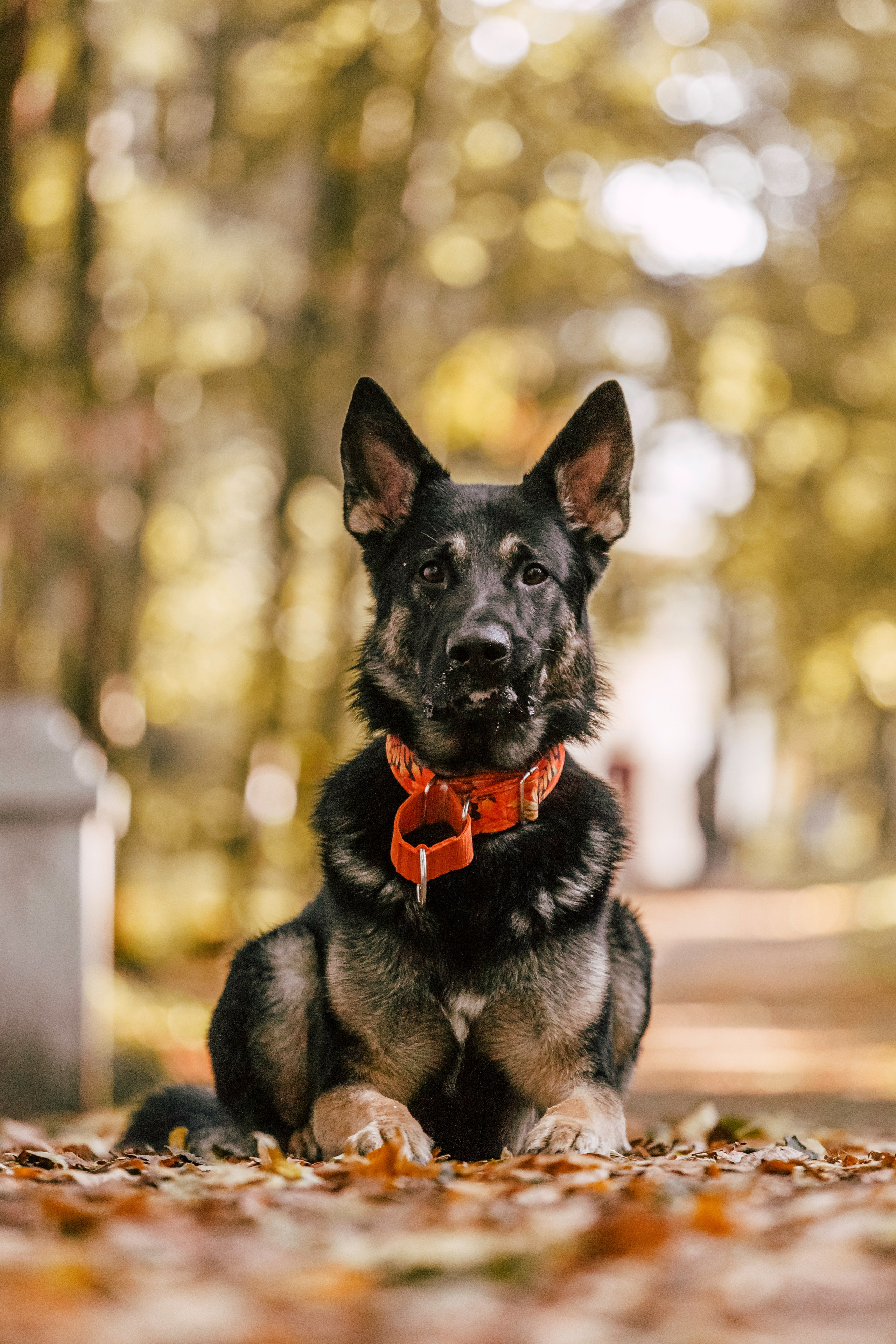 Илай. Фотограф-анималист Татьяна Степанова