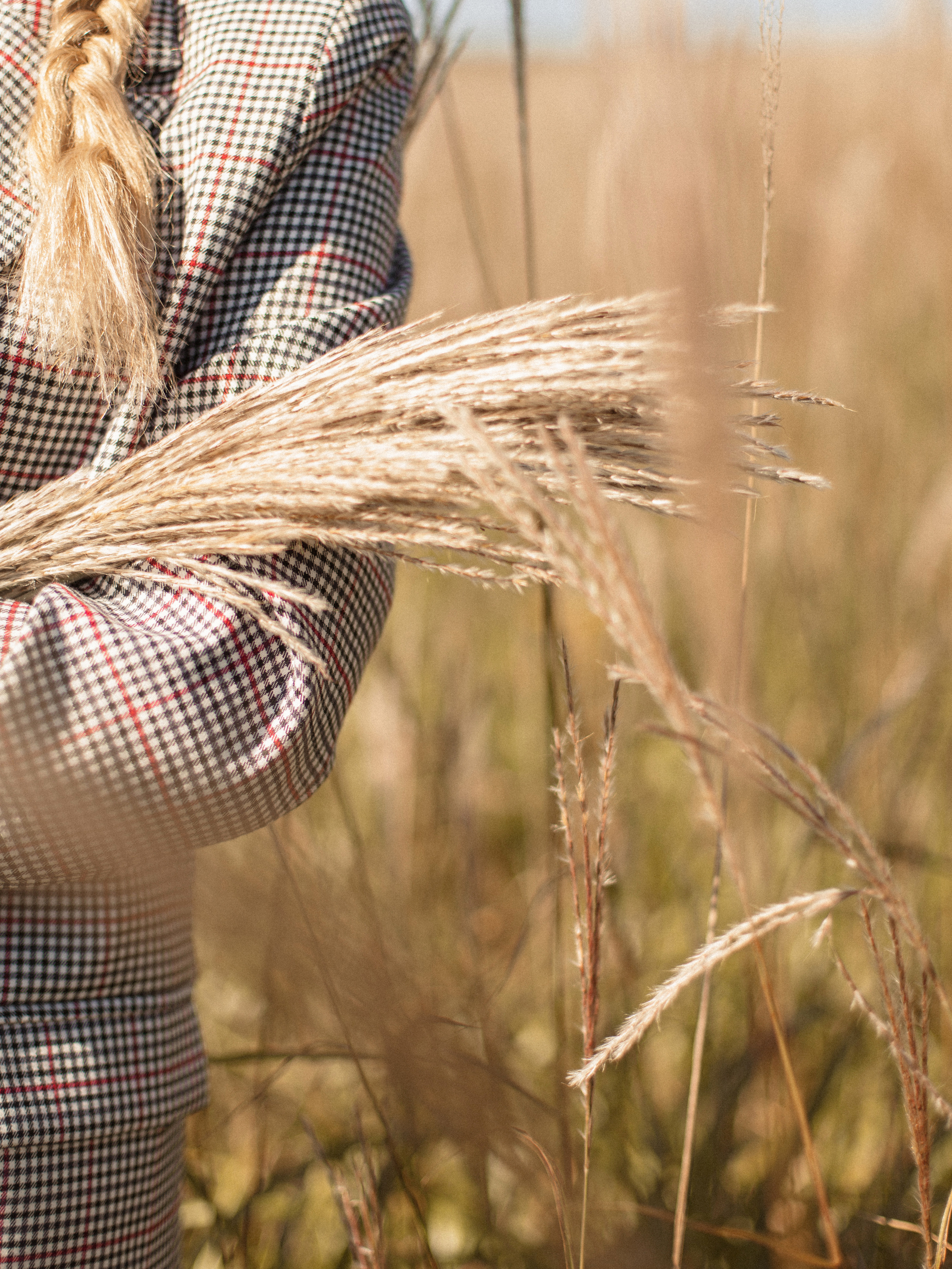 Вика. Осенняя фотосессия в колосьях. Фотограф в санкт-Петербурге Макиенко Анастасия