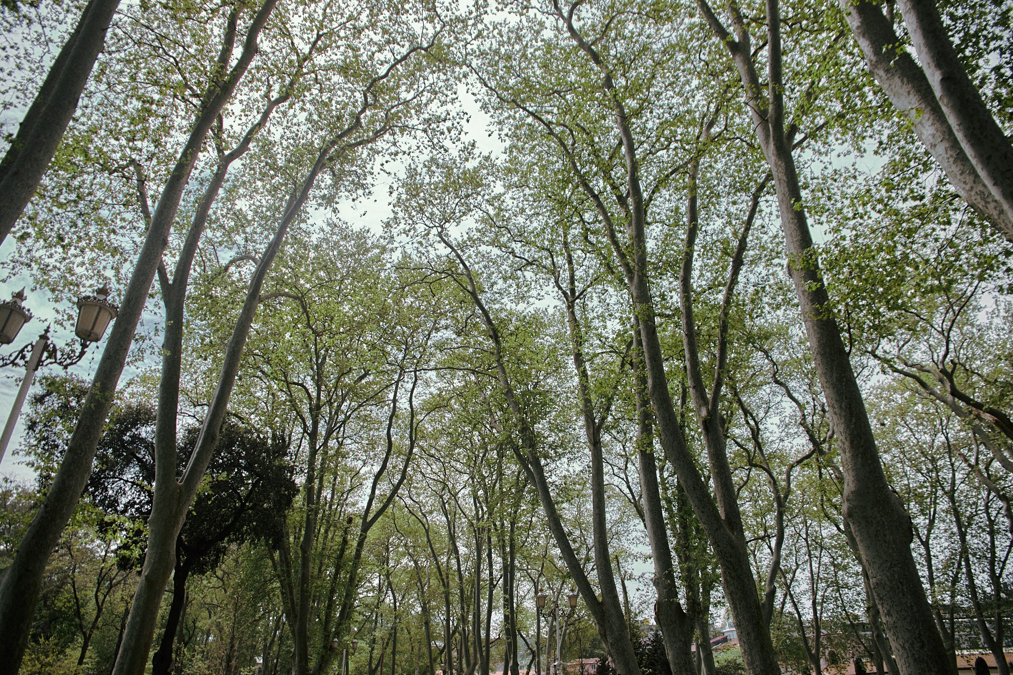 Улица горизонтальная. Jorgis — фотограф в Хургаде / обучение фотографии