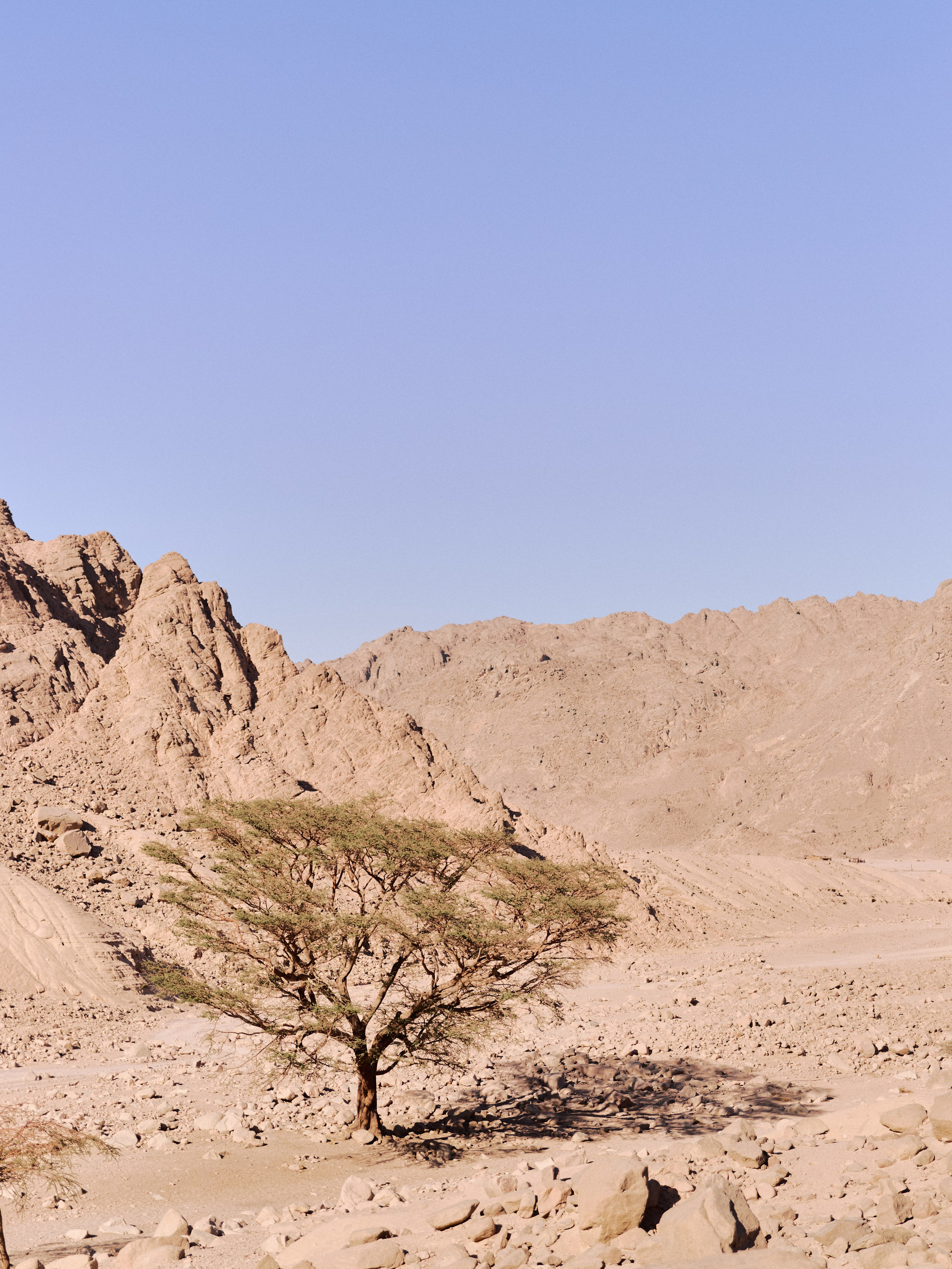 Диптих. Jorgis — фотограф в Хургаде / обучение фотографии