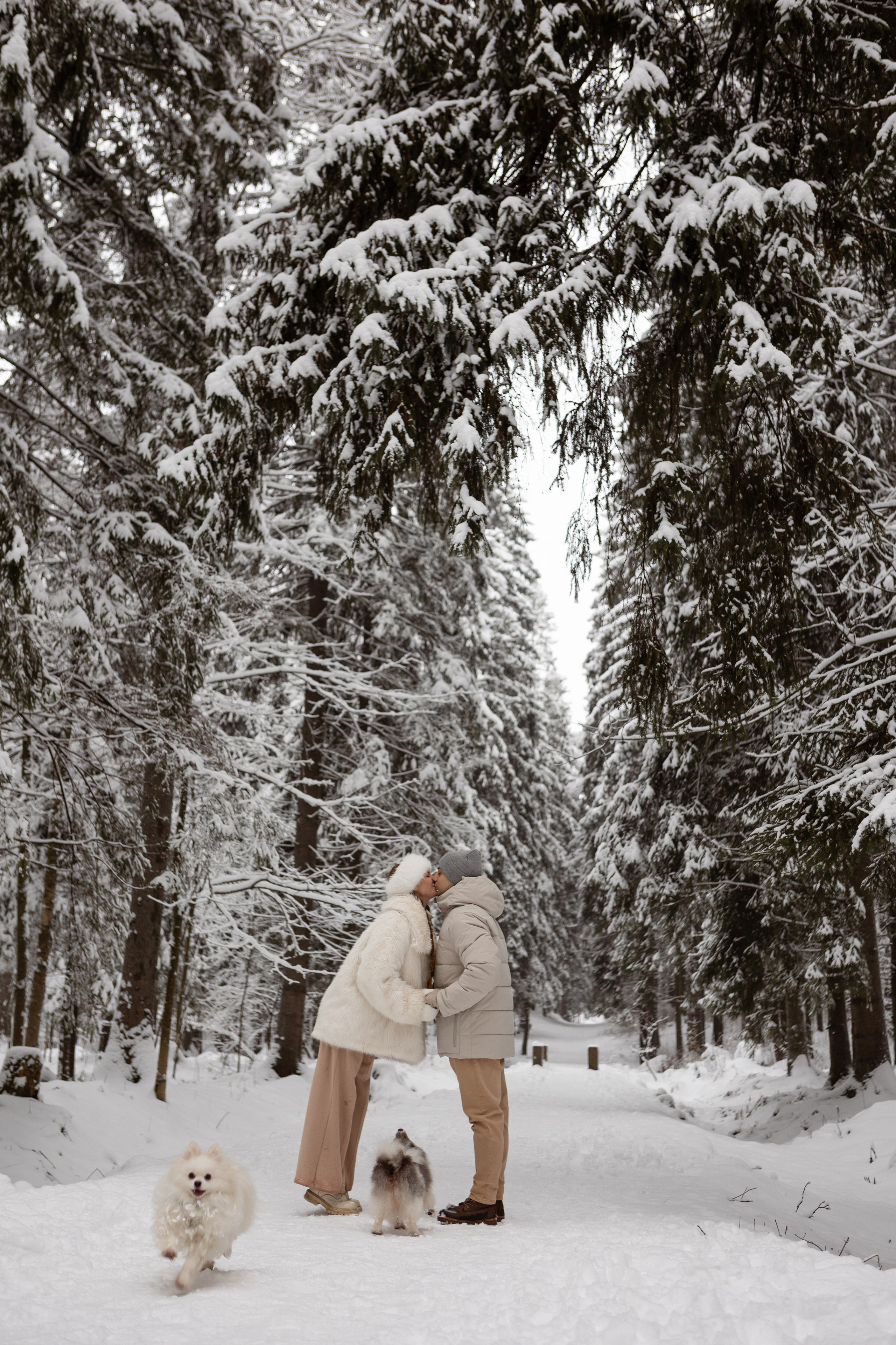 Новогодняя фотосессия с собачками в шуваловском парке. Свадебный фотограф в СПБ | Санкт-Петербурге Анастасия Рахимгулова