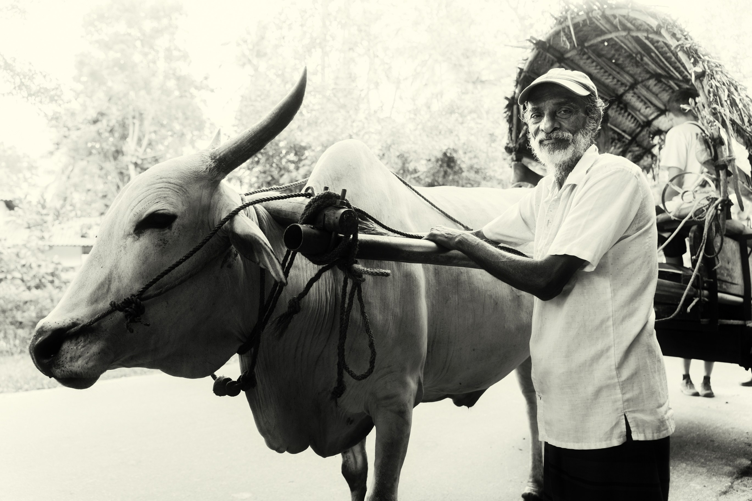 Ktokuda. Фотограф в Хабаровске. Фотография за 24 часа