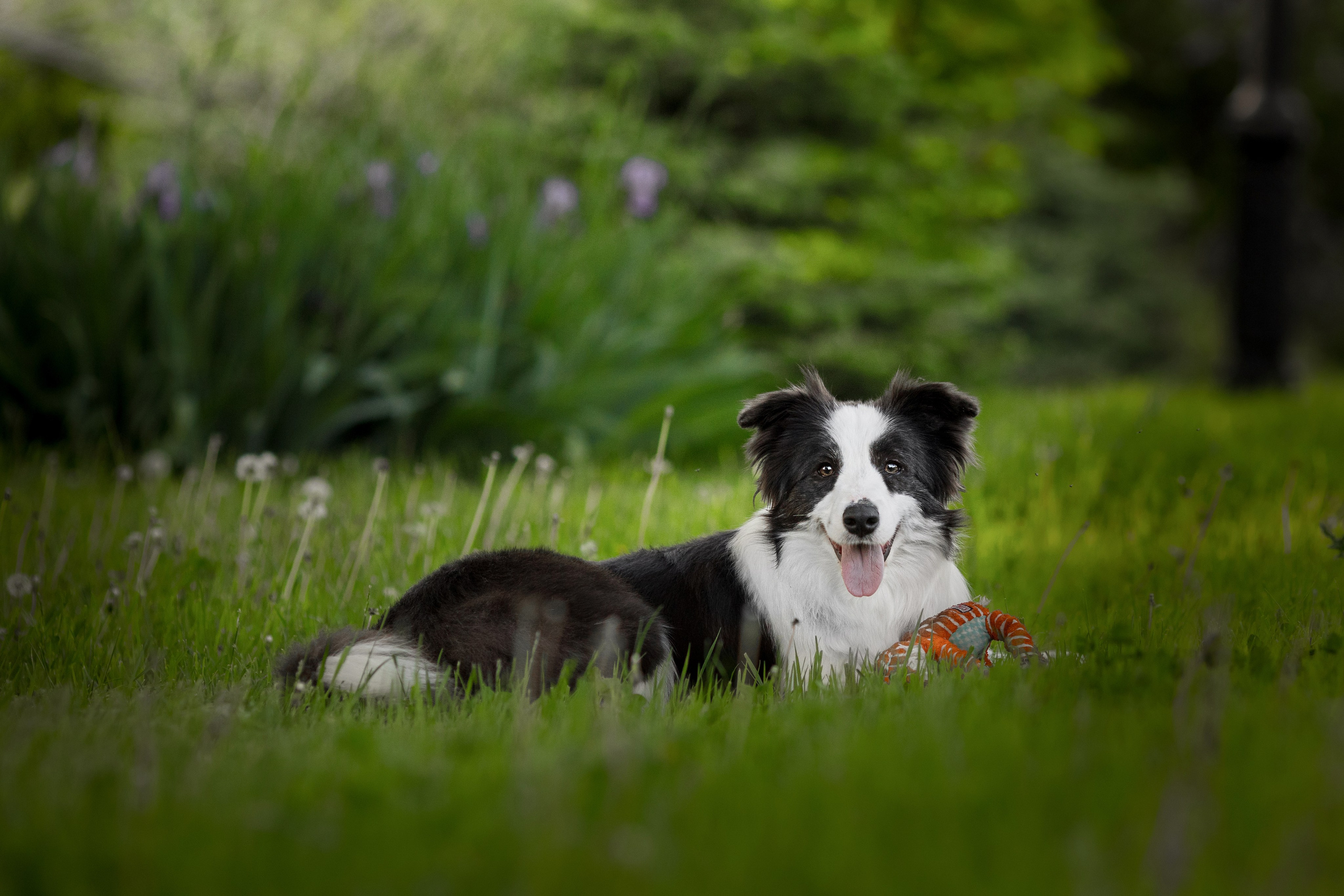 Роскошь в ростошах. О нас