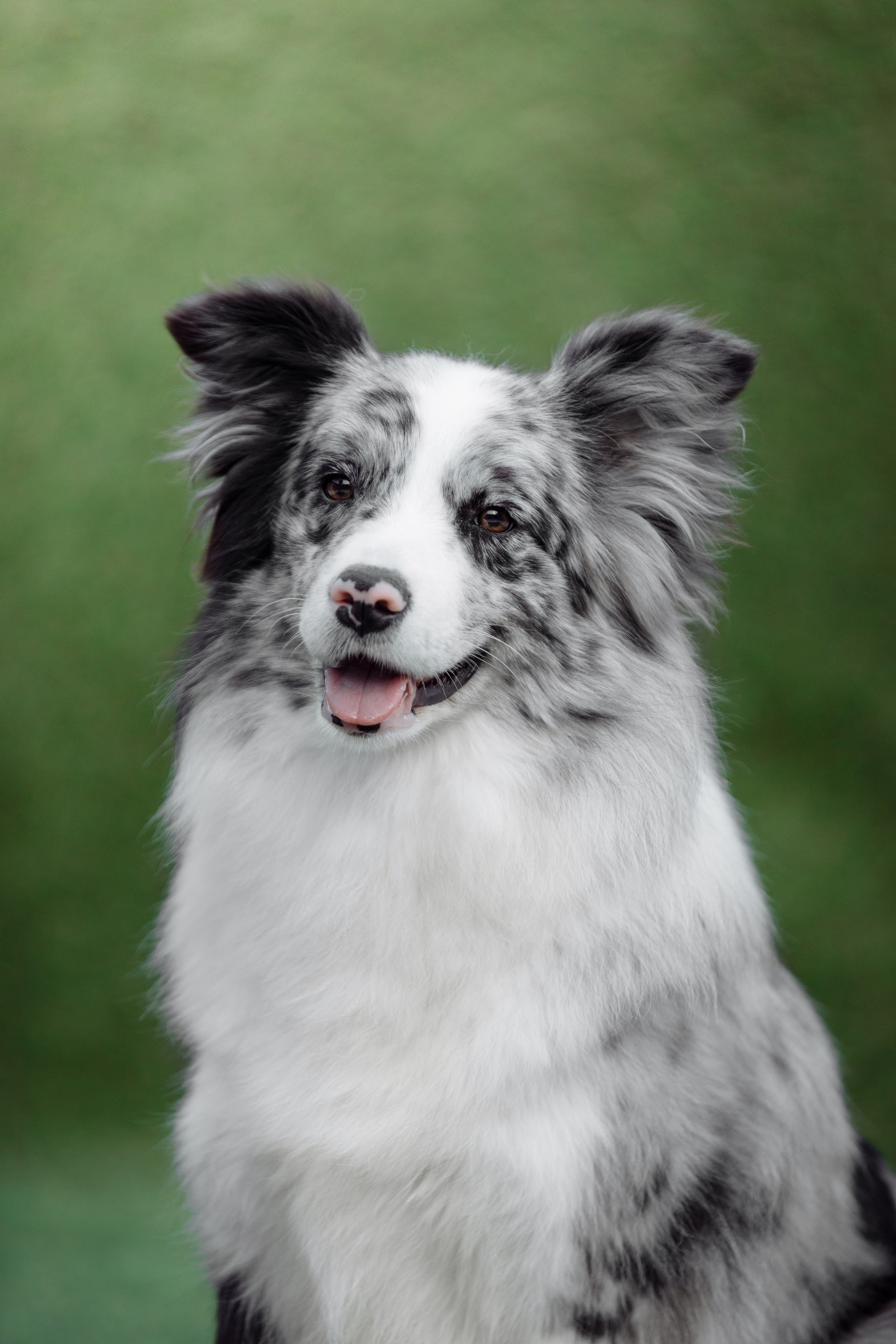 Свое место. О нас