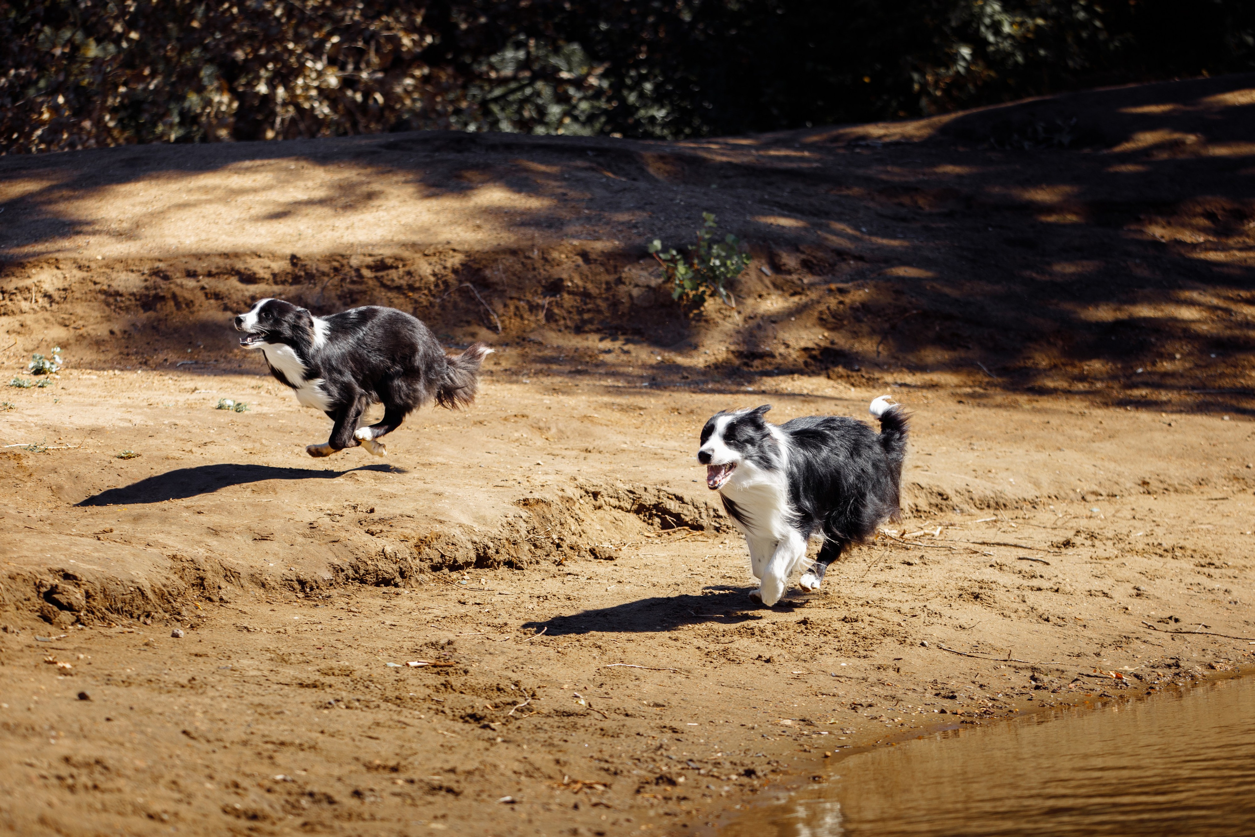 Водяные в Новотроицке. О нас