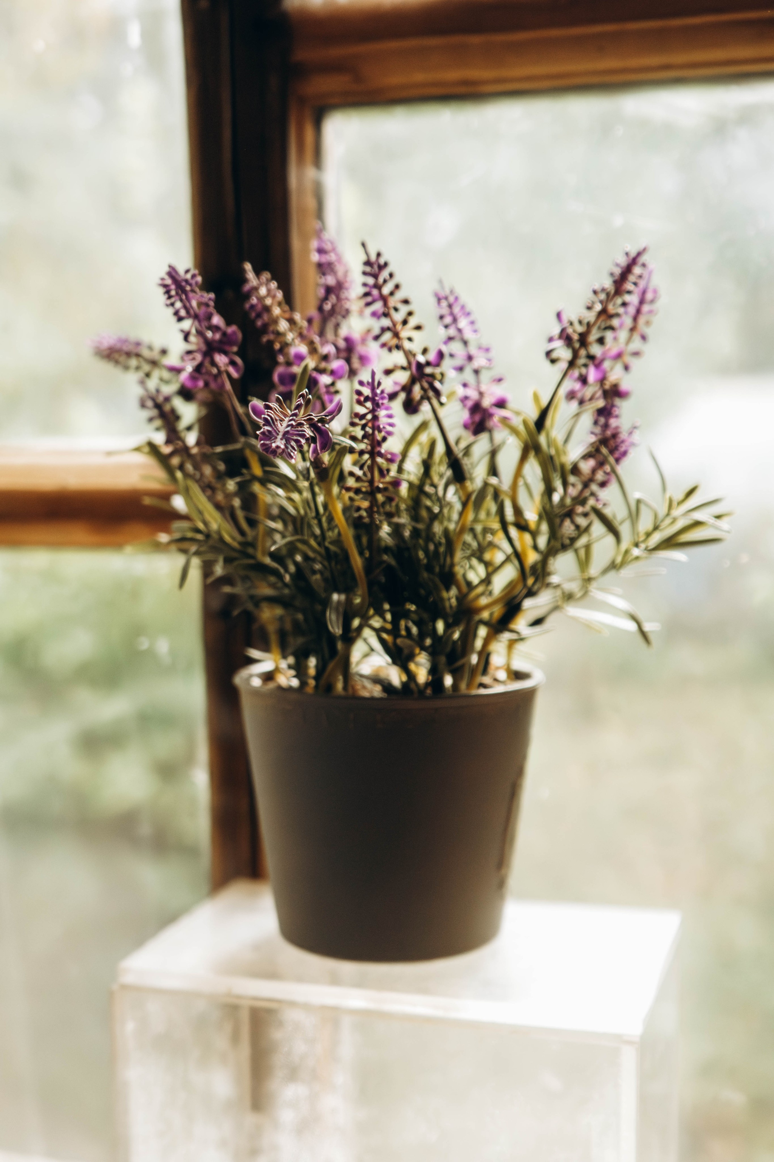 Съемка студии «Аж уютно». Фотограф Москва Валерия Веденина