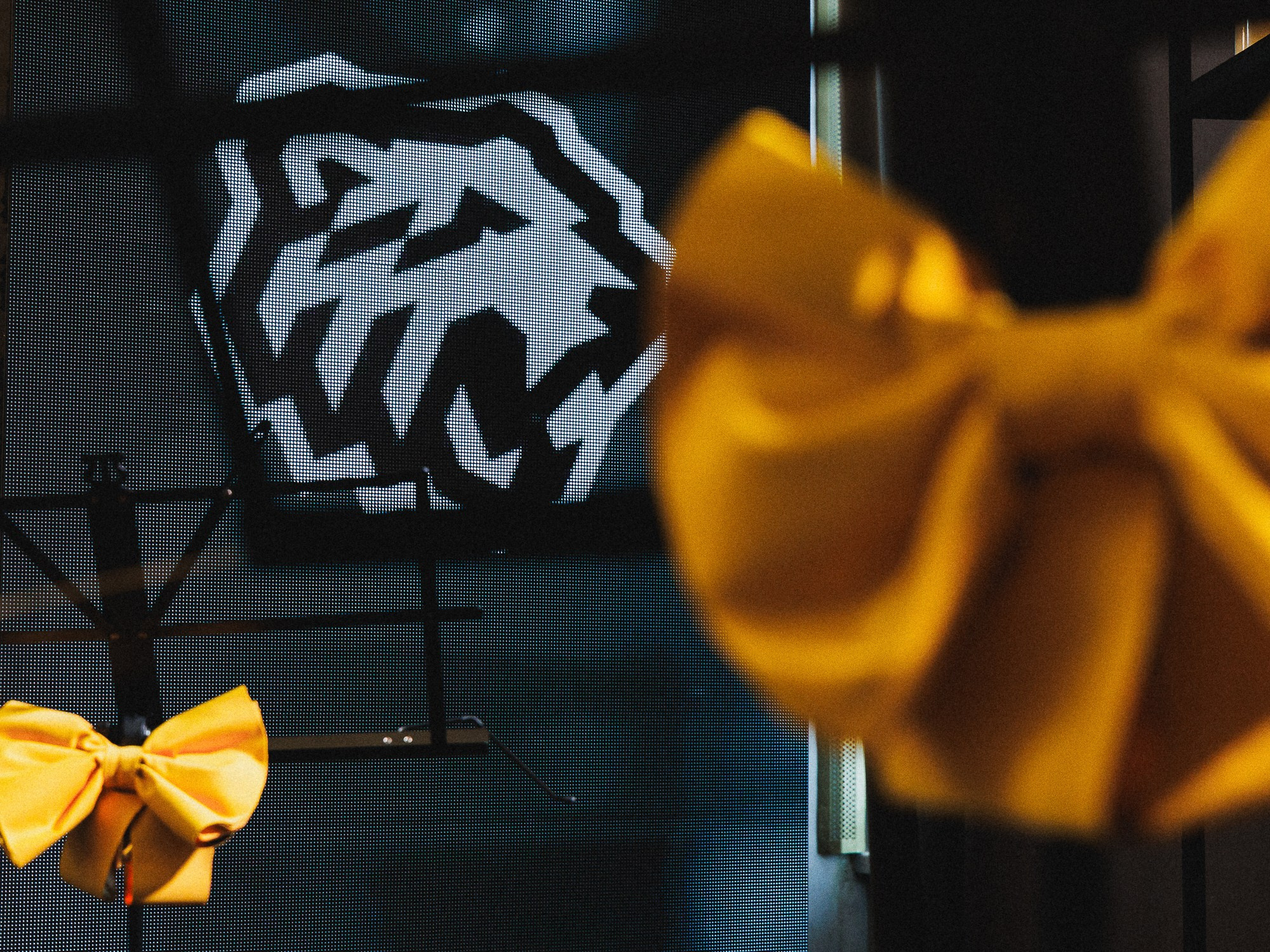 20260308 Traktor x Metalurg. Фотограф Иван Гуляев