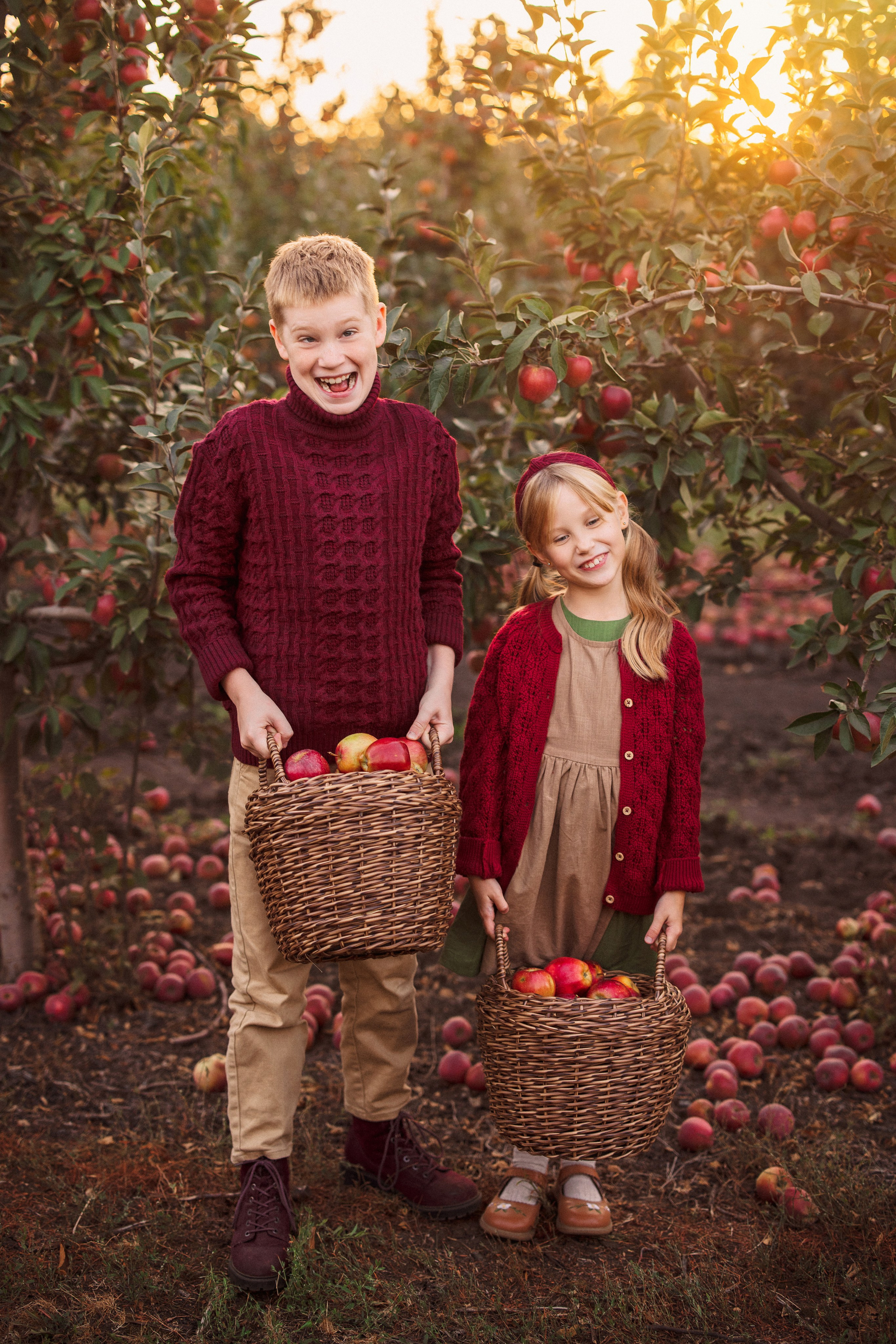Сбор урожая Яблок. Семейный и детский фотограф в Краснодаре Анна Трашкова