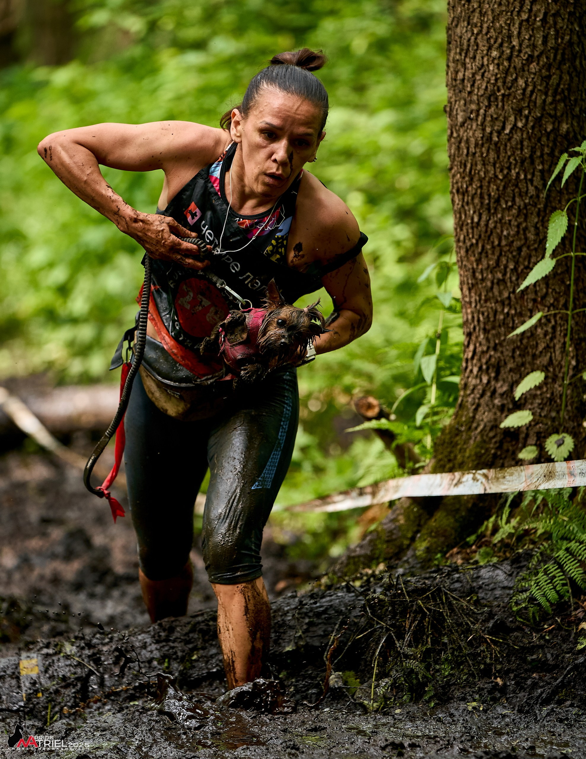 Russian Extreme Dog Trail — 2025