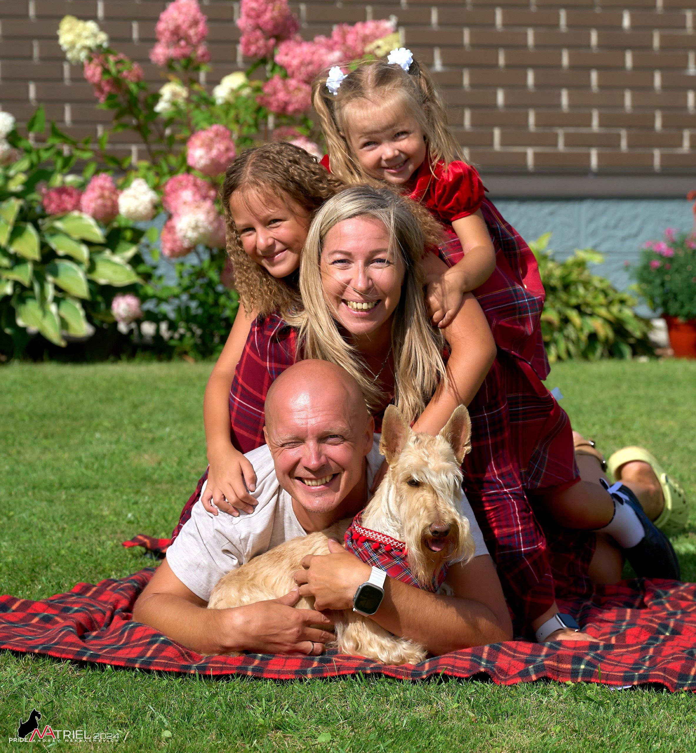 Скотчесемья «ИмпериалИти»