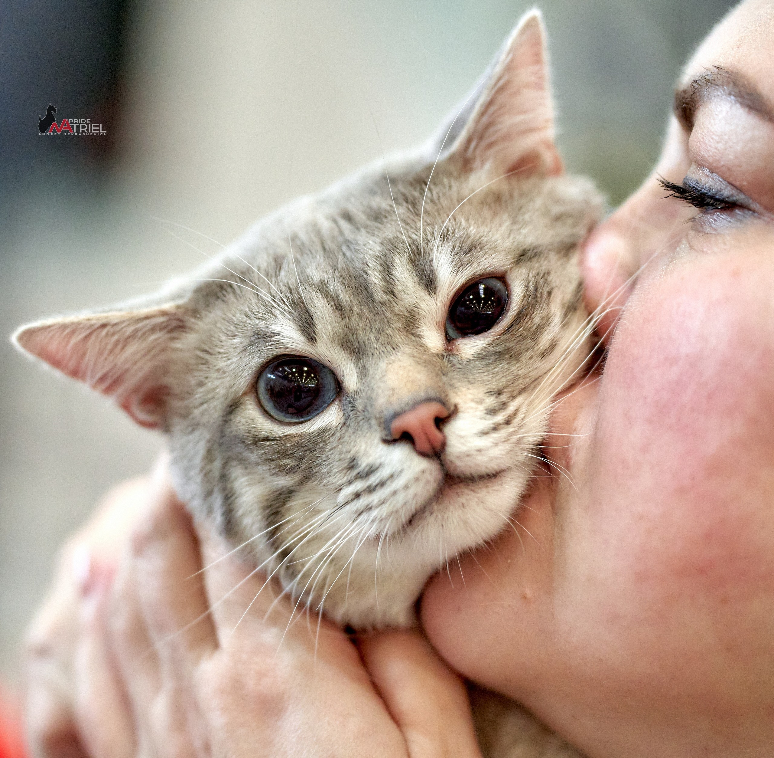 Выставки животных — галерея NATRIEL