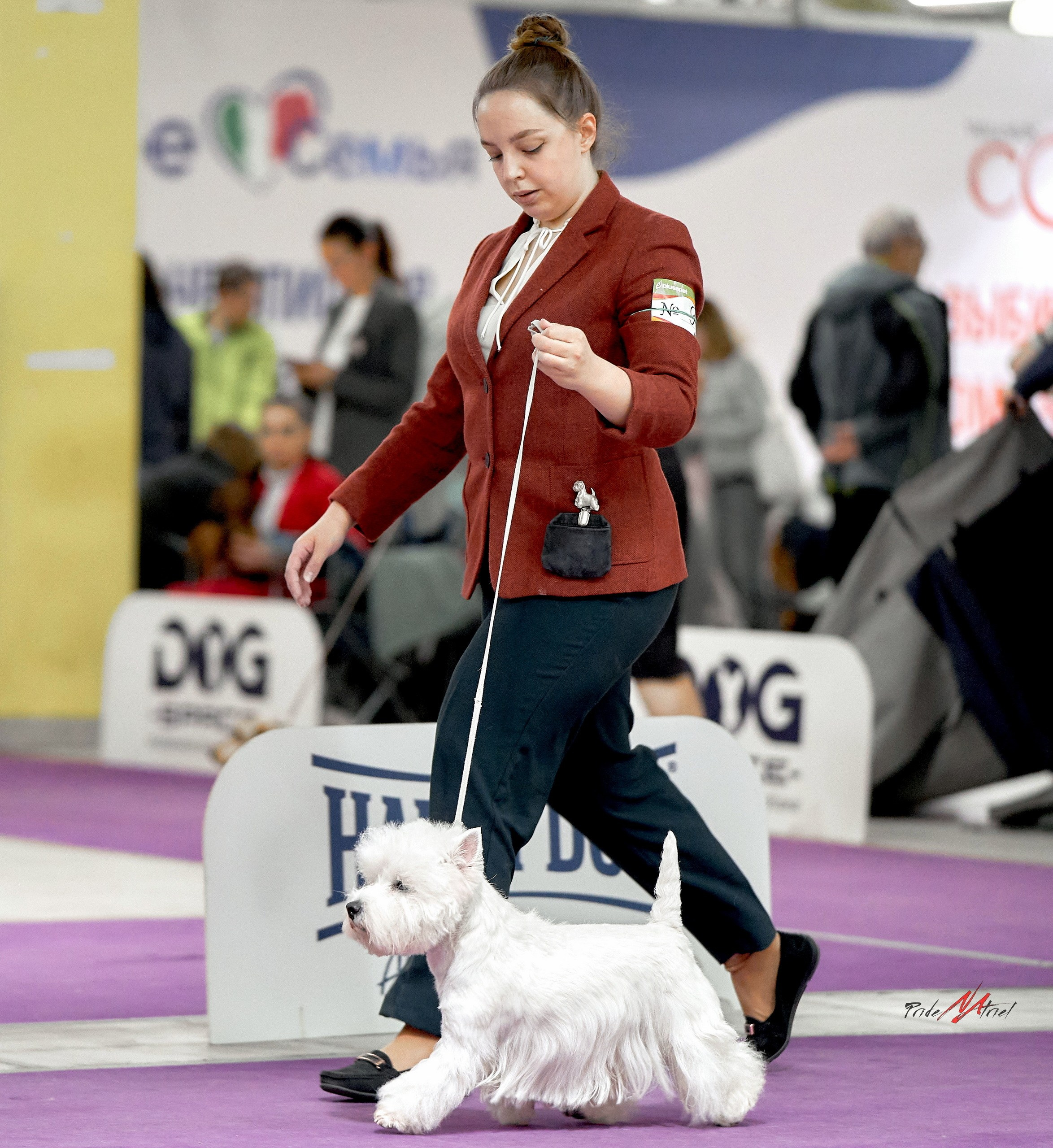 Работа в рингах — галерея NATRIEL