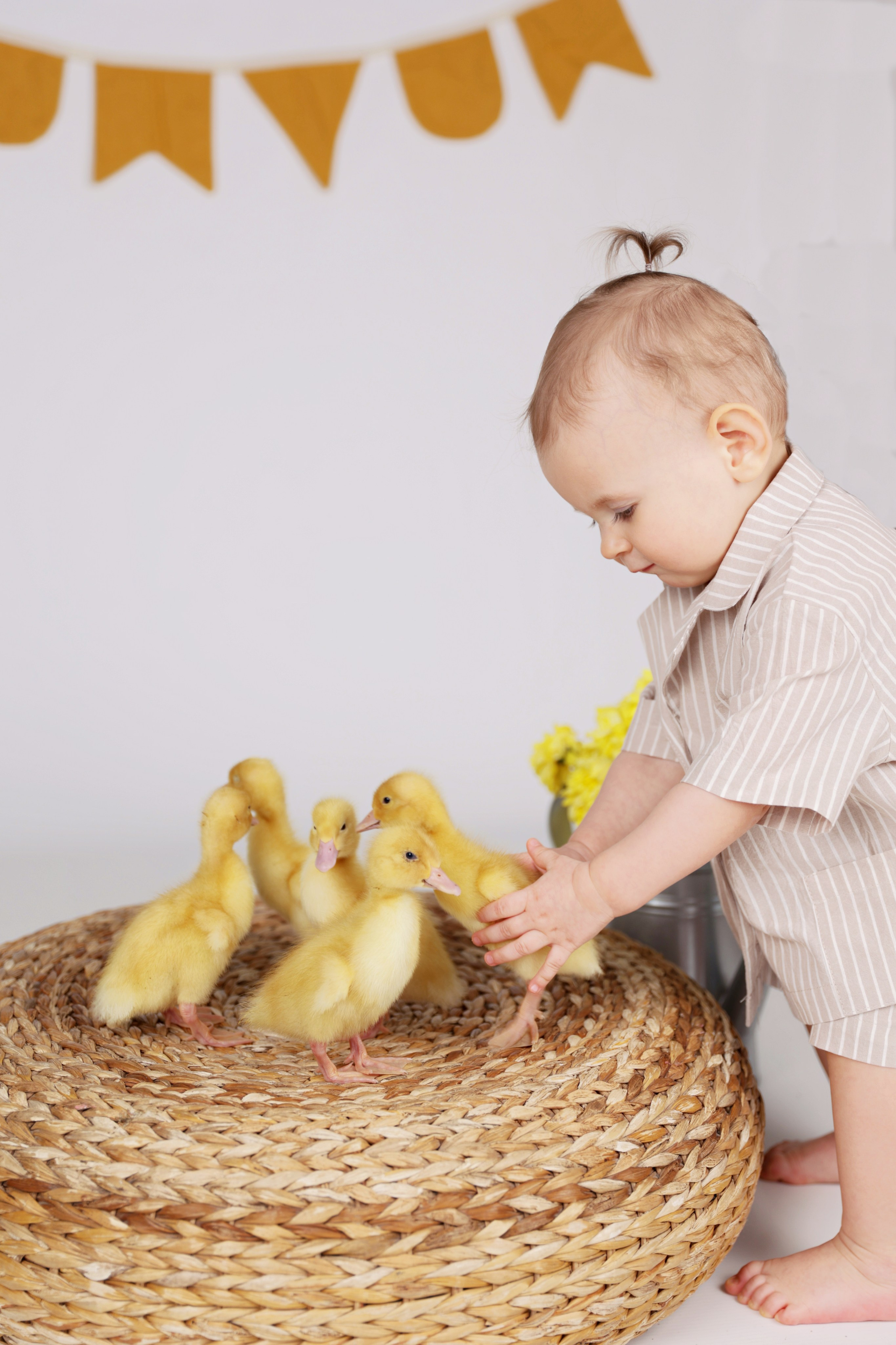 Детки и утятки. Сайт фотографа Ирины Аникановой