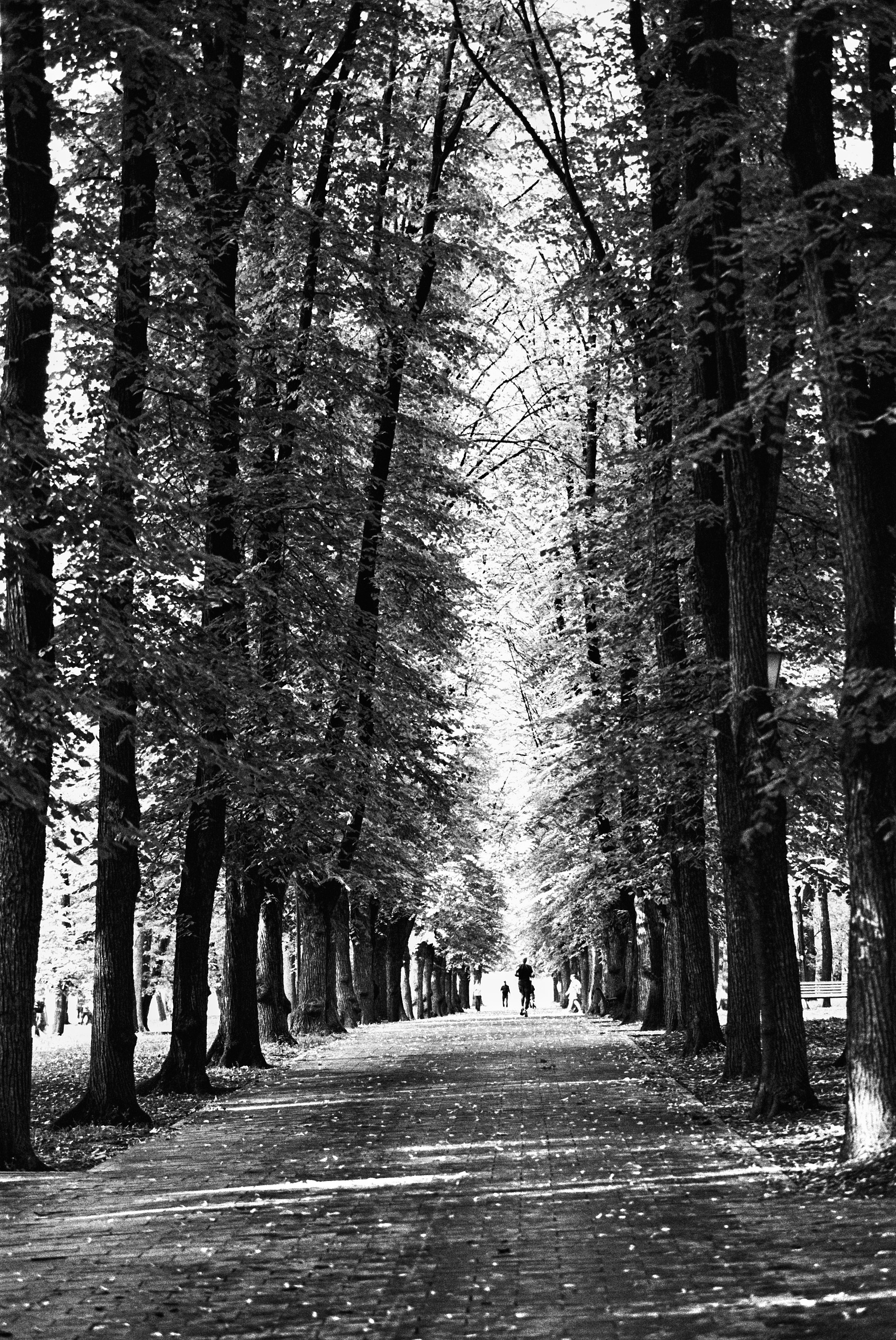 Фотосессии на пленочный фотоаппарат Nikon F6