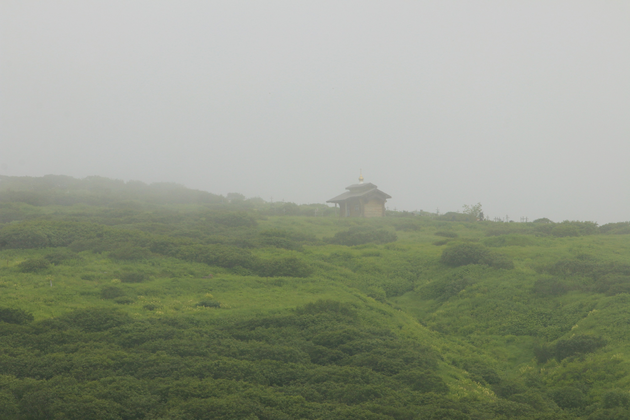 Камчатка и о. Парамушир. Июль 2024. Путешественник-фотограф из Санкт-Петербурга Татьяна Свистулина