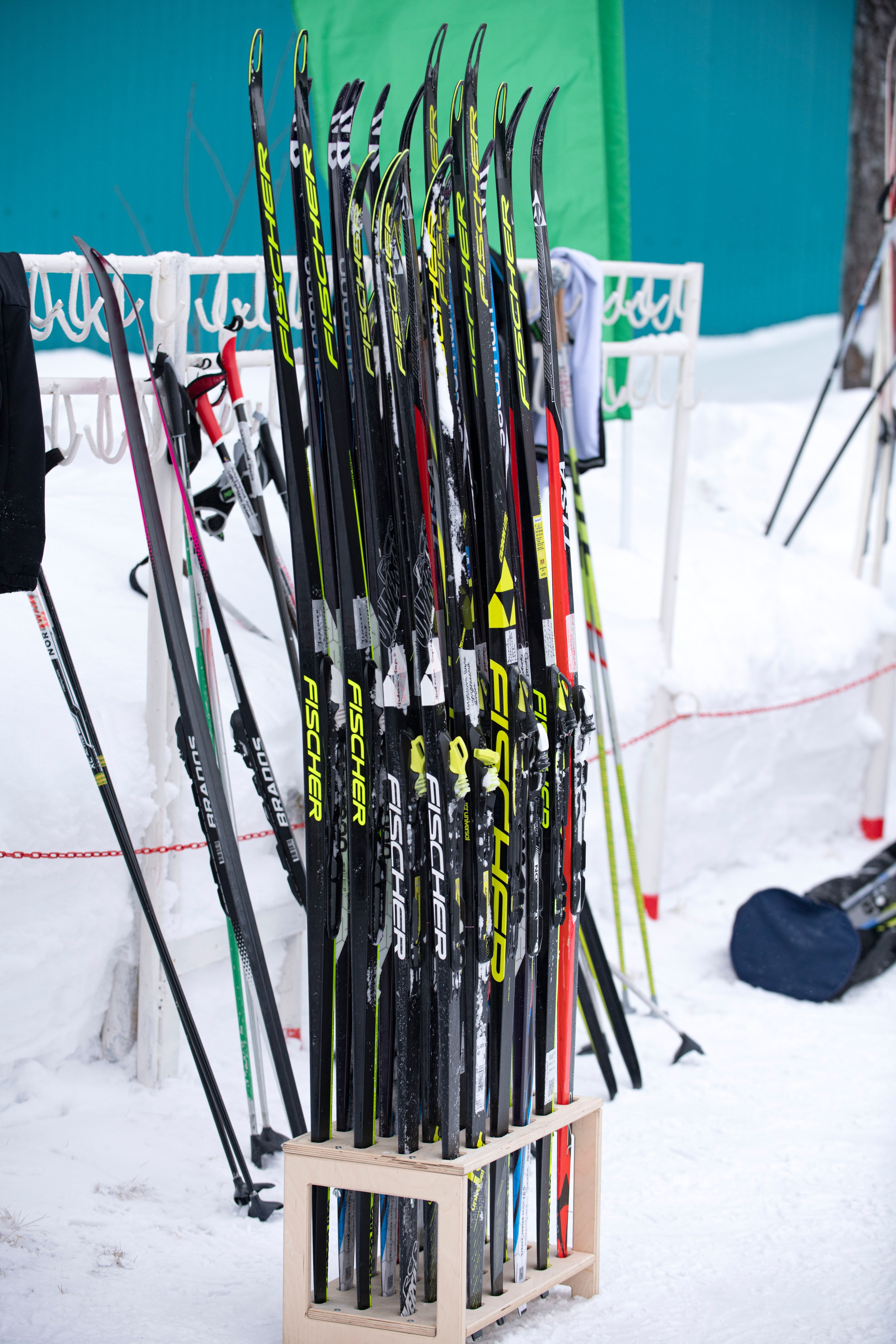 Лыжня России 2025. Репортажный и портретный фотограф Alex Dum