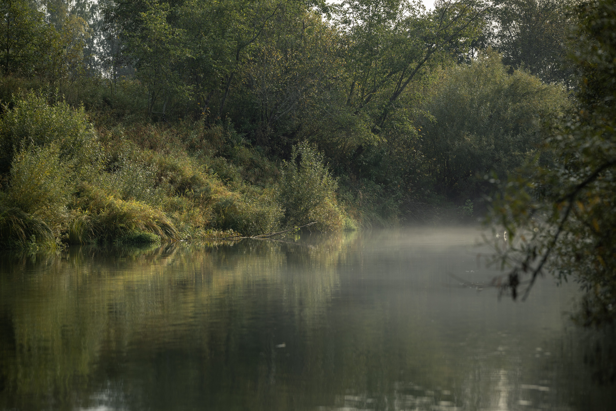 Природные пейзажи. Наталия Клевинскас портретный фотограф в Костроме