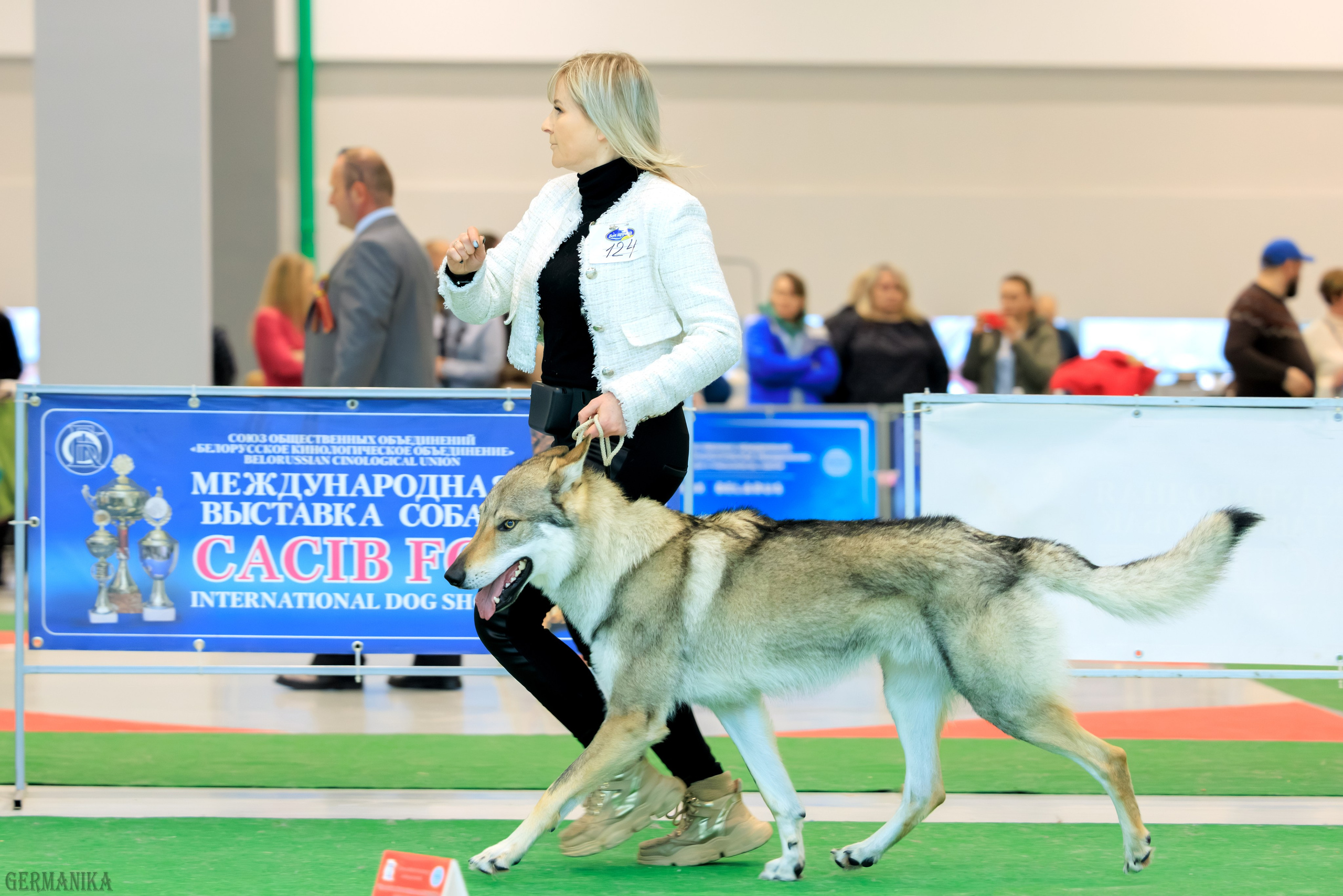 Минск 24-25.02.2024. Фотограф-анималист Юлия Германика