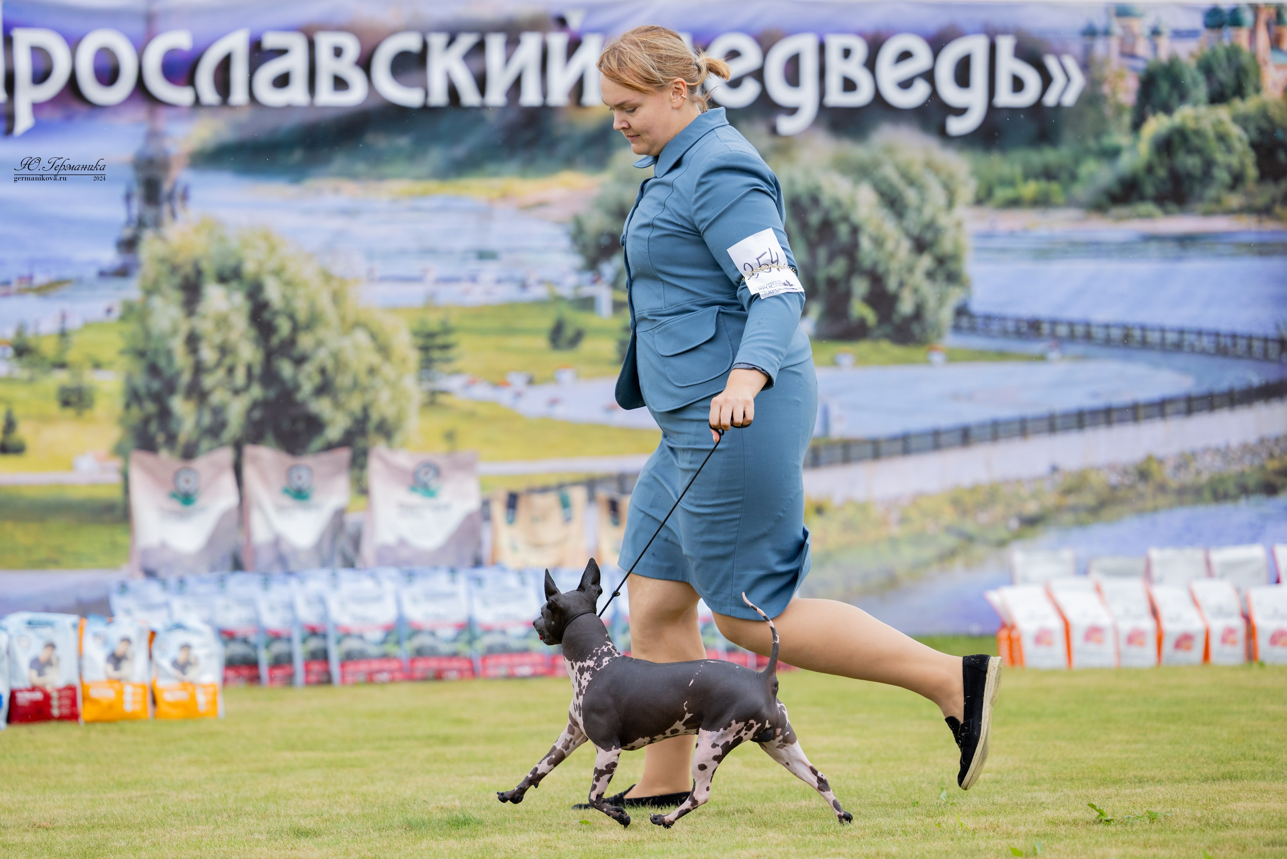 Ярославль 21.07.24 и Балашиха 13.07.24. Фотограф-анималист Юлия Германика