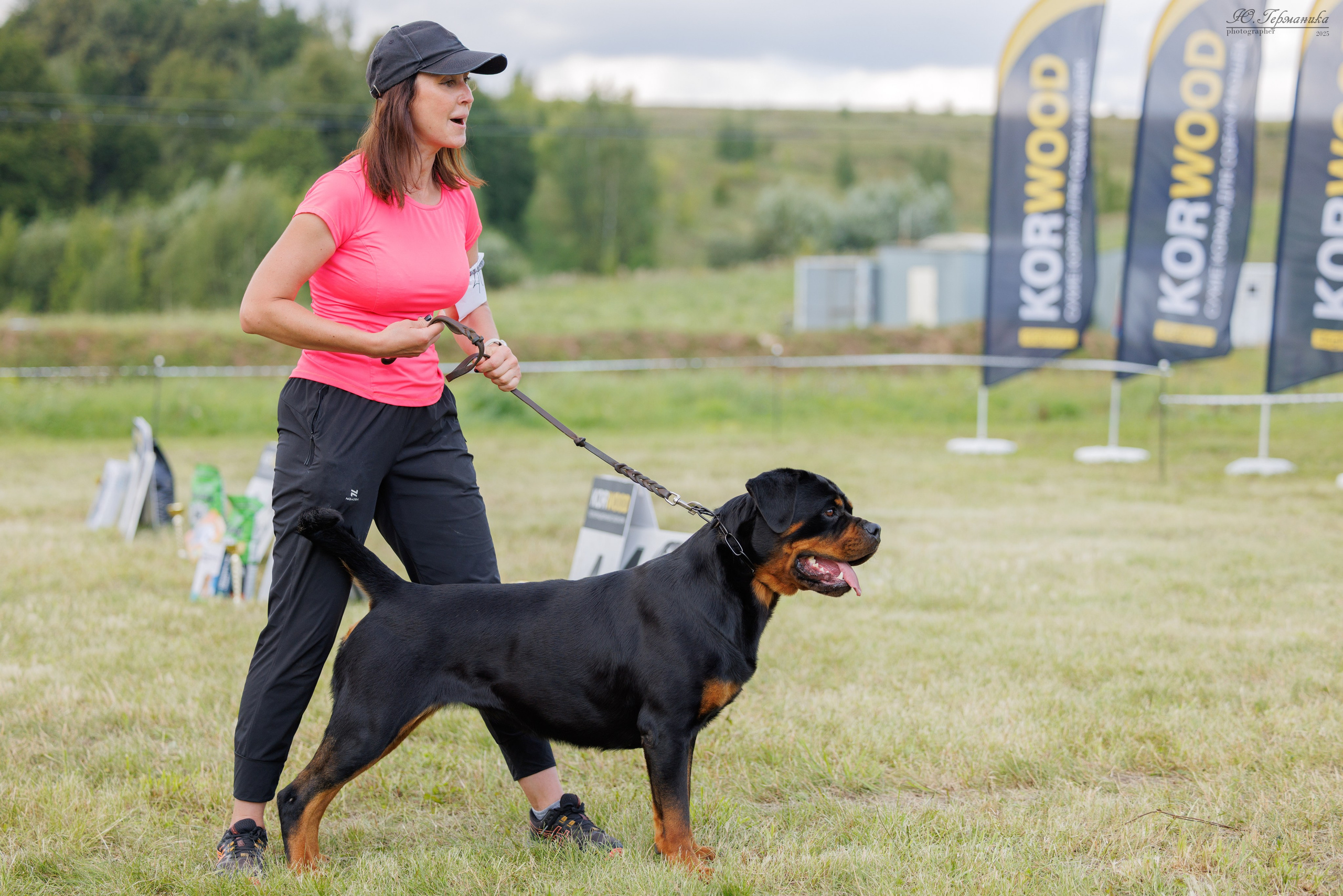 Рязань 2хмоно ротвейлеры 16-17.08.2025. Фотограф-анималист Юлия Германика