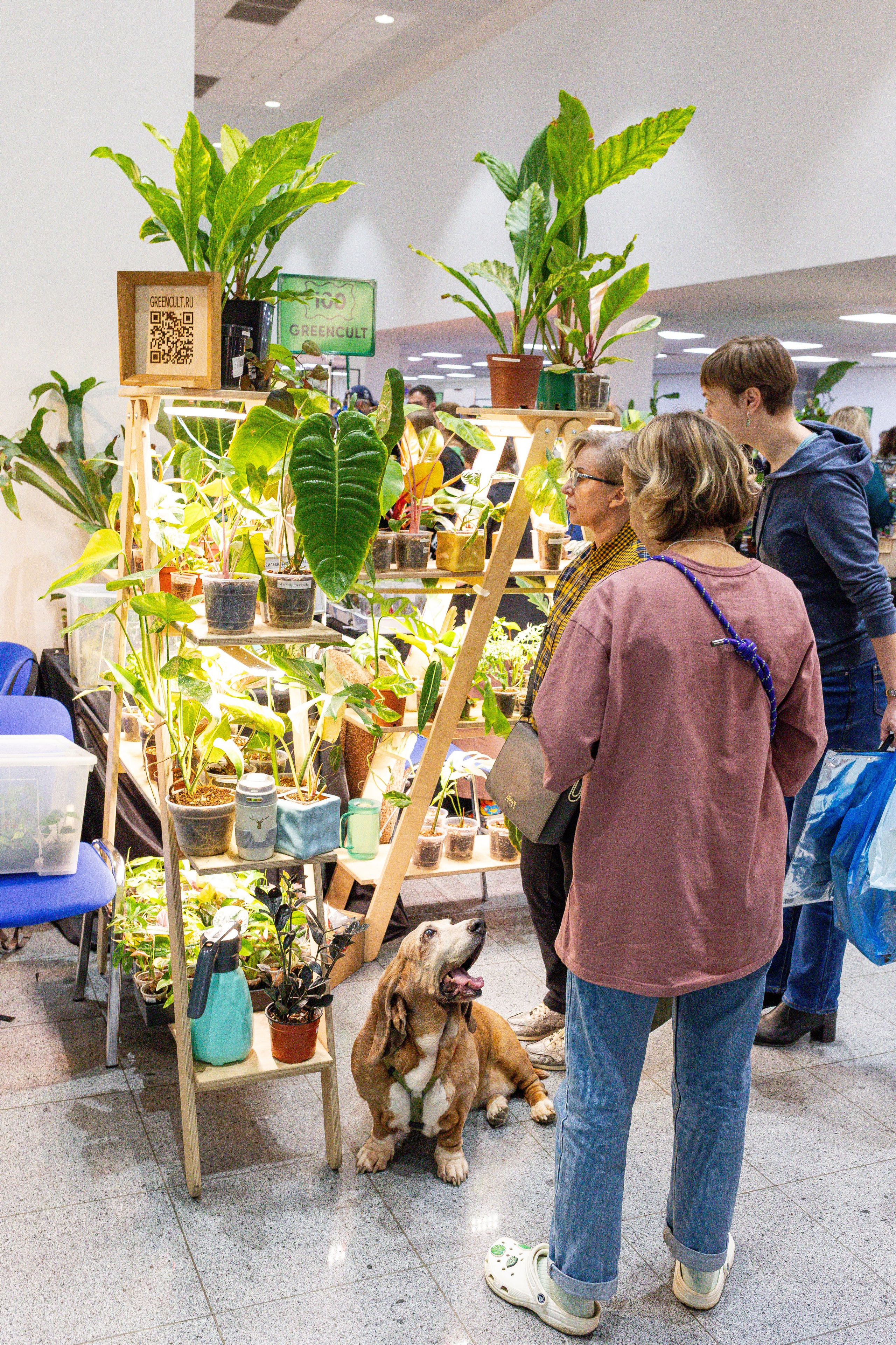 Монстериум апрель 2025. Александра Куликова фотограф, Москва