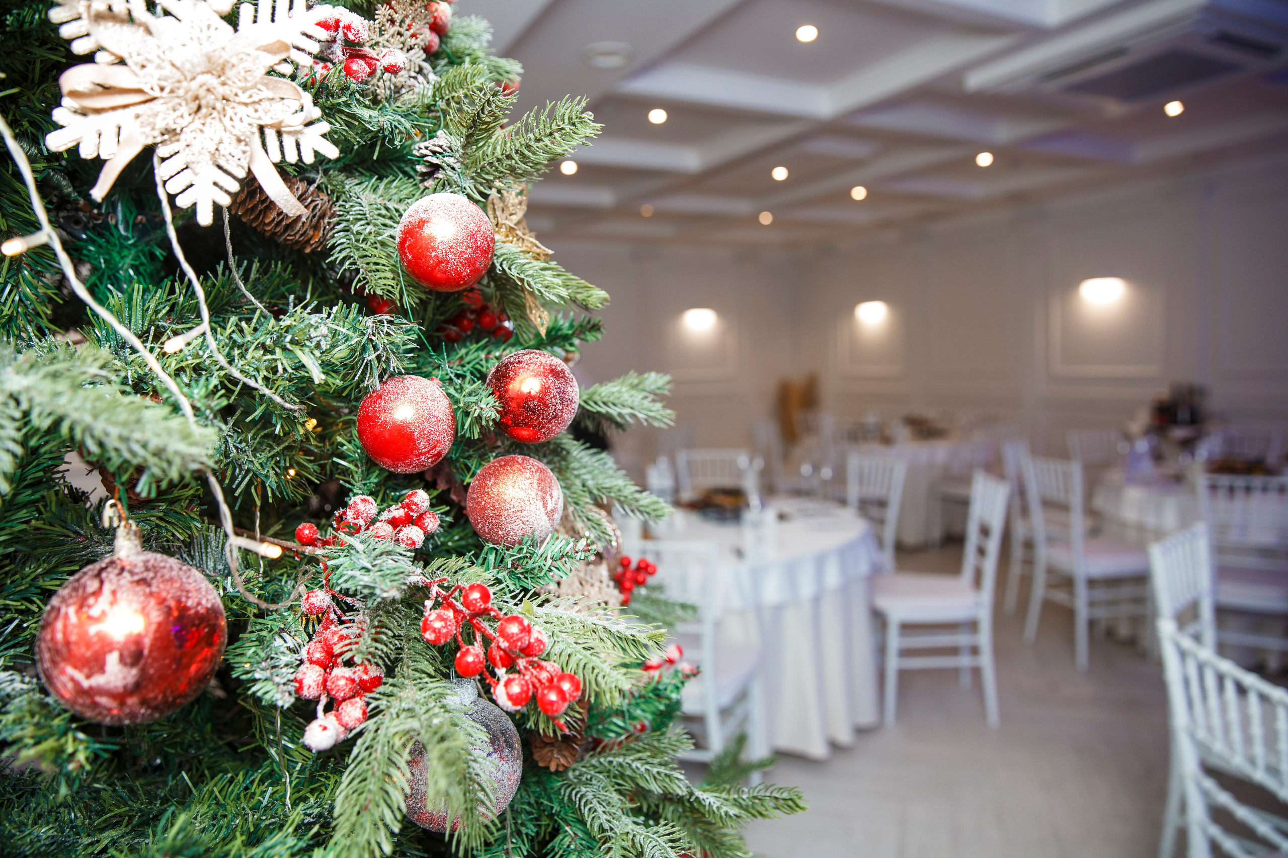 Reportazh. Кайфовый фотограф в Новосибирске Мария Мячина