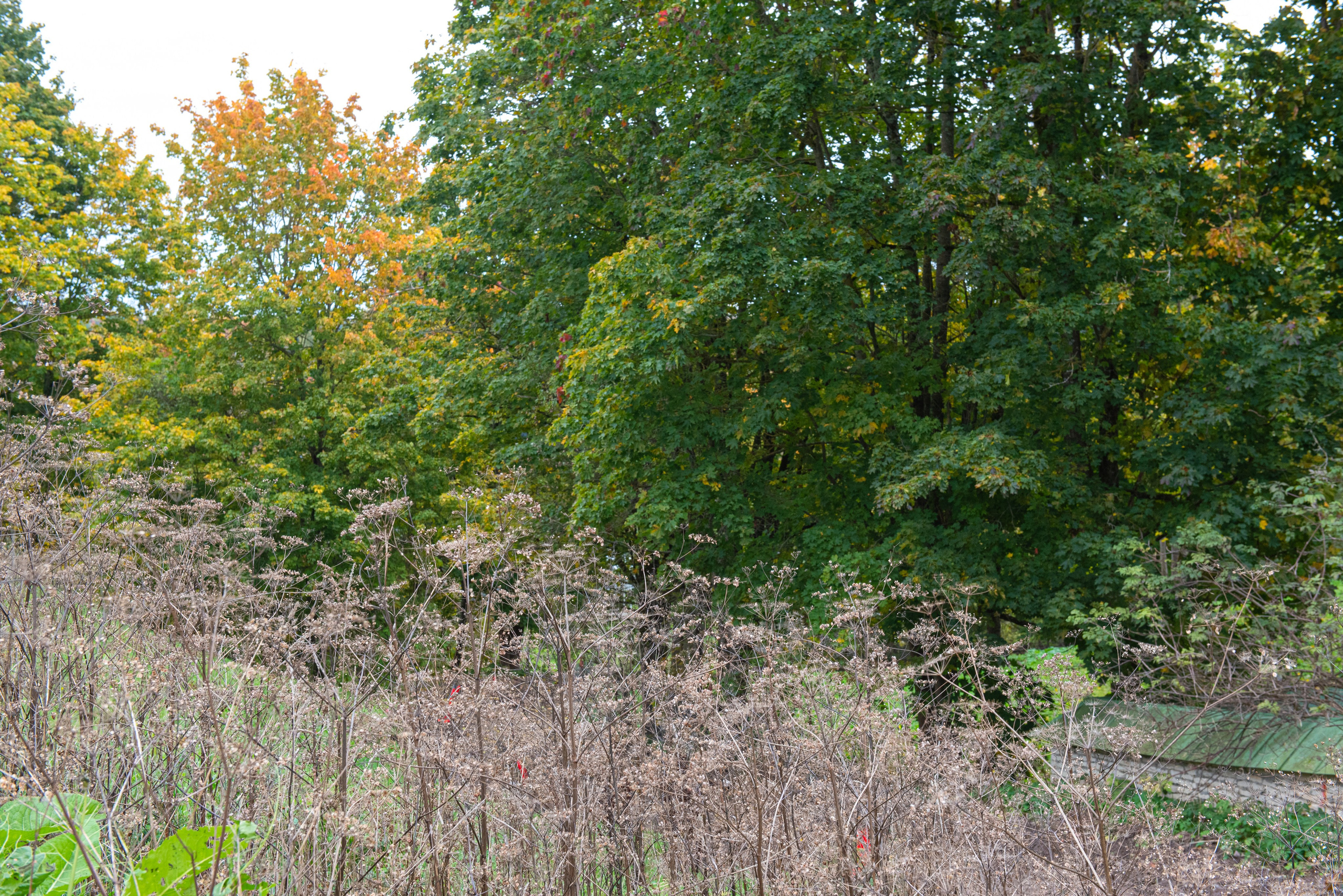 Изборск. Портретный и архитектурный фотограф в Москве и Санкт-Петербурге