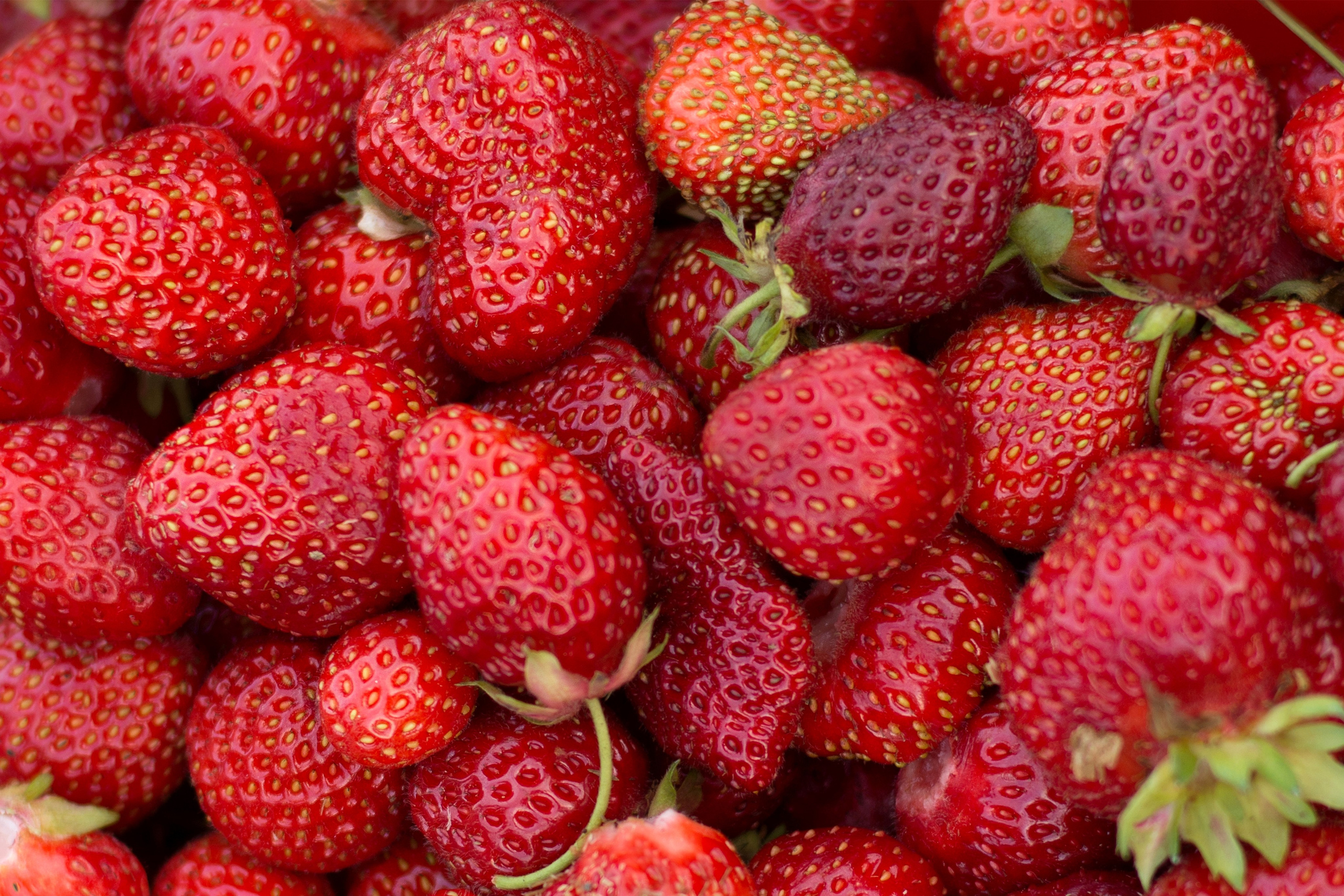 Детская летняя фотосессия в Сыктывкаре детский фотограф лето Сыктывкар. Фотограф новорождённых детский фотограф Сыктывкар Наталья Линдт