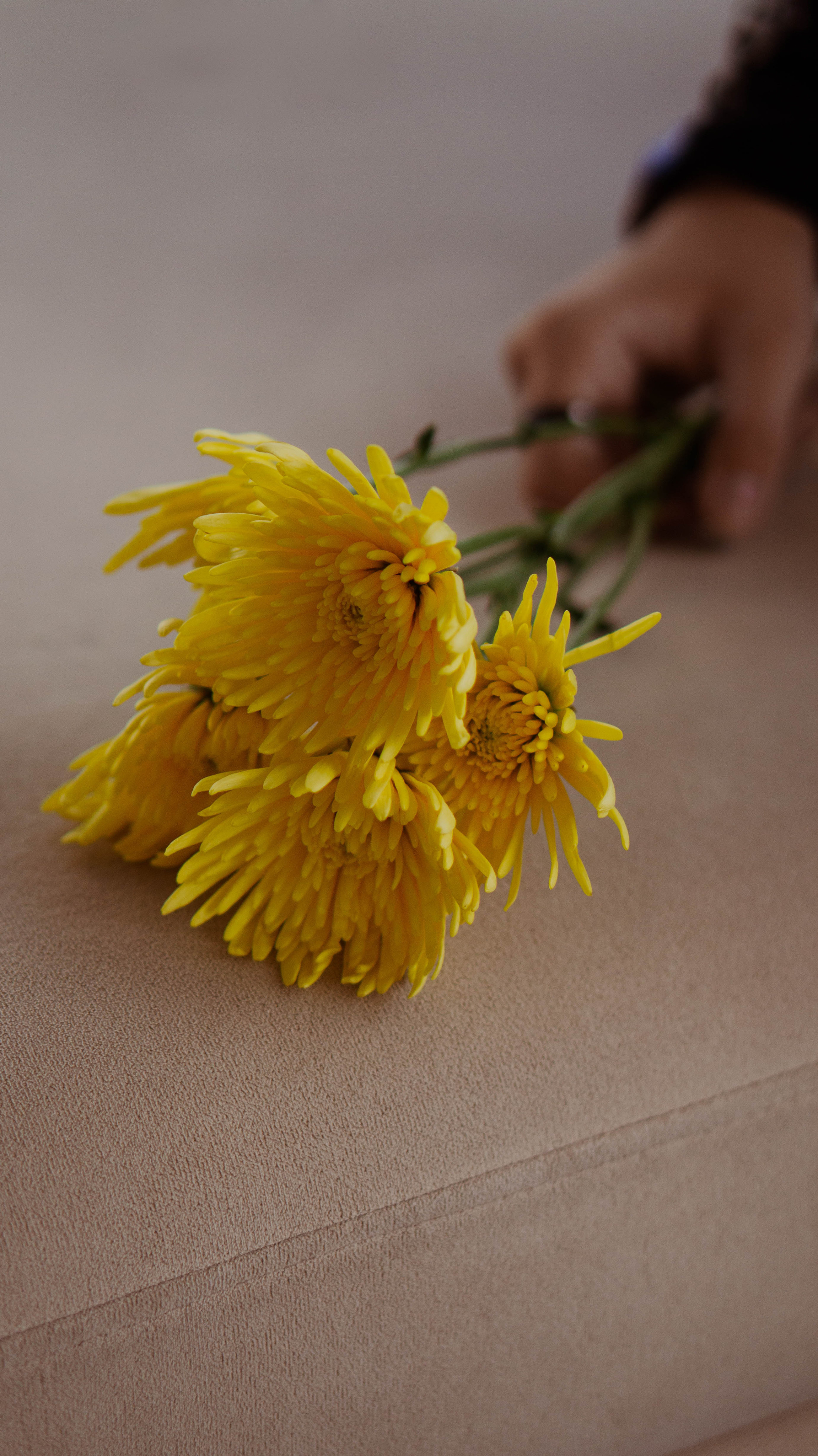 Фотосессия Софии. ФОТОГРАФ САРАТОВ