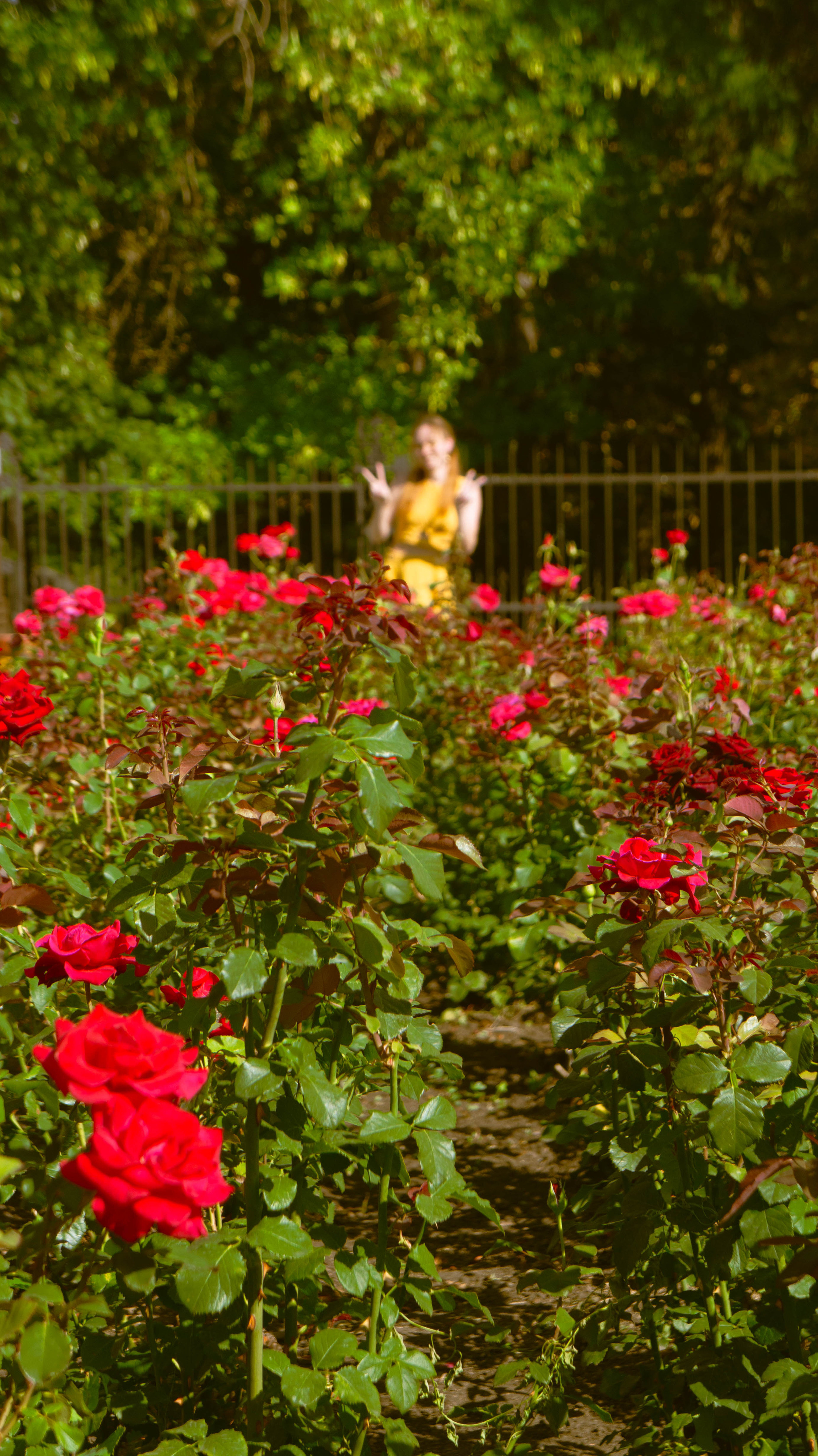 Екатерина. ФОТОГРАФ САРАТОВ