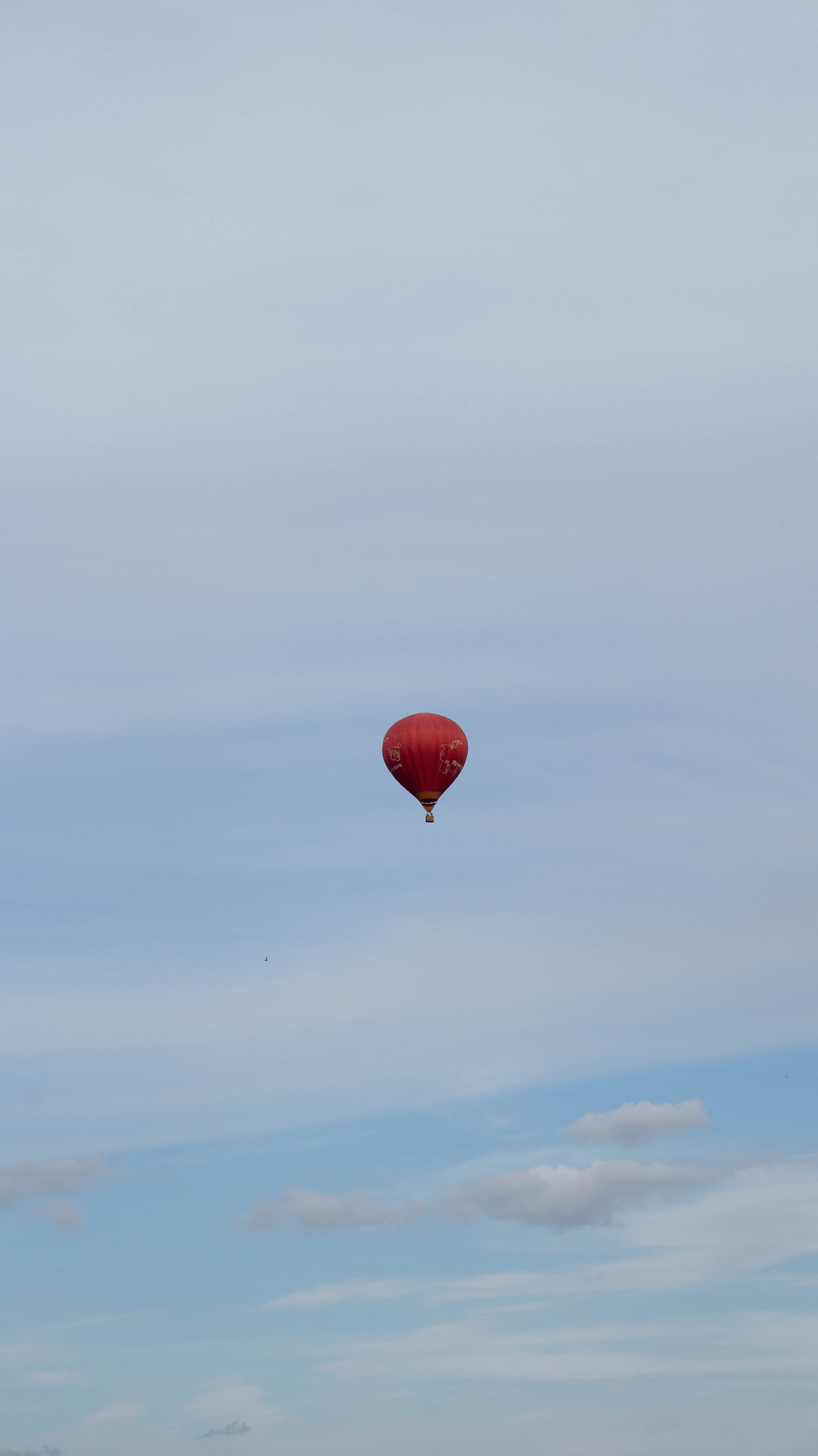 Воздушный шар. ФОТОГРАФ САРАТОВ