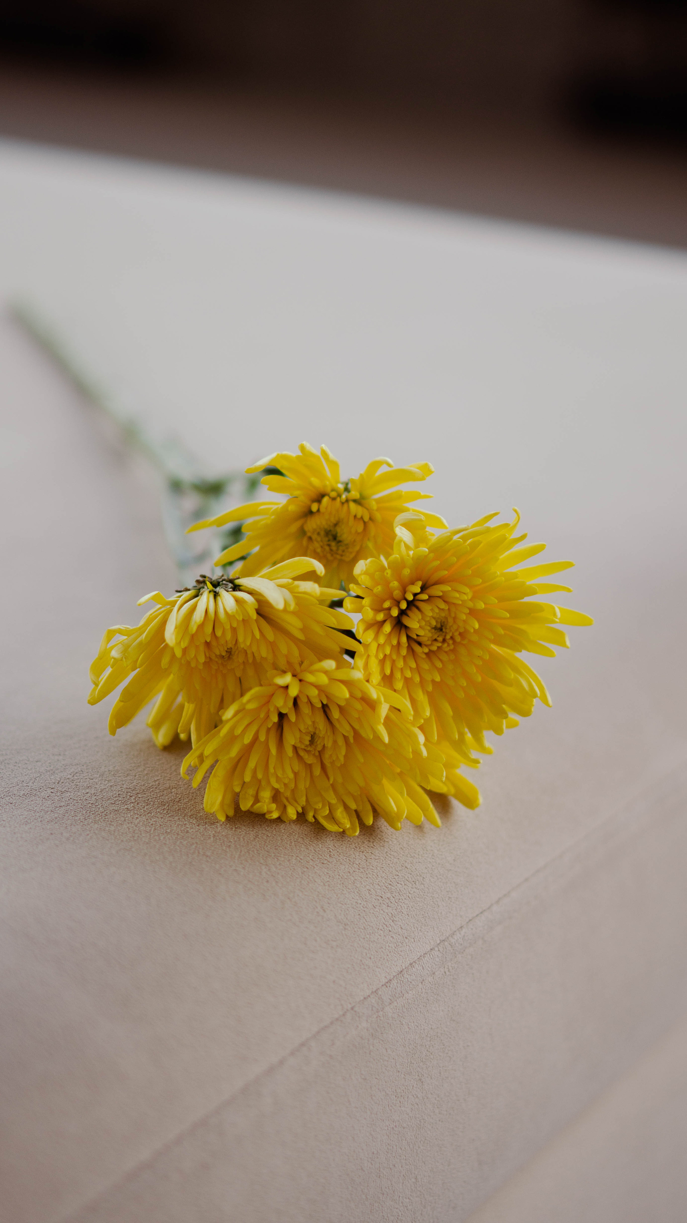 Фотосессия Софии. ФОТОГРАФ САРАТОВ