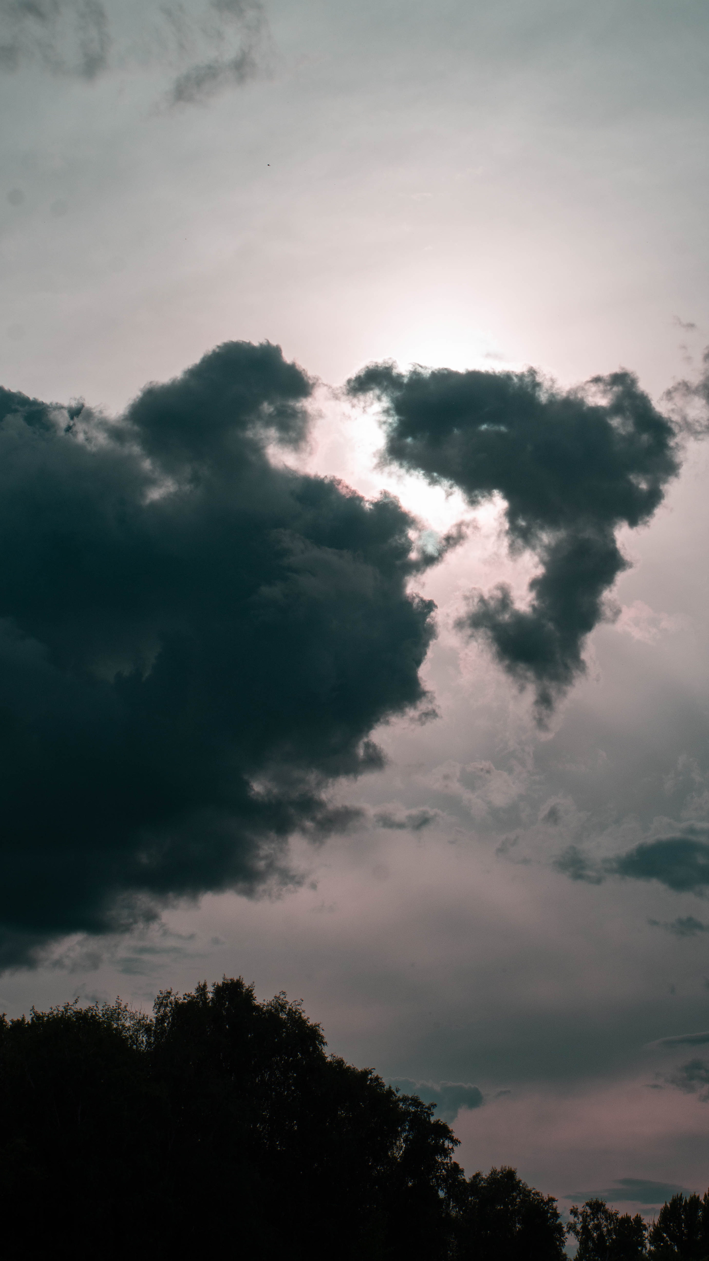 Воздушный шар. ФОТОГРАФ САРАТОВ