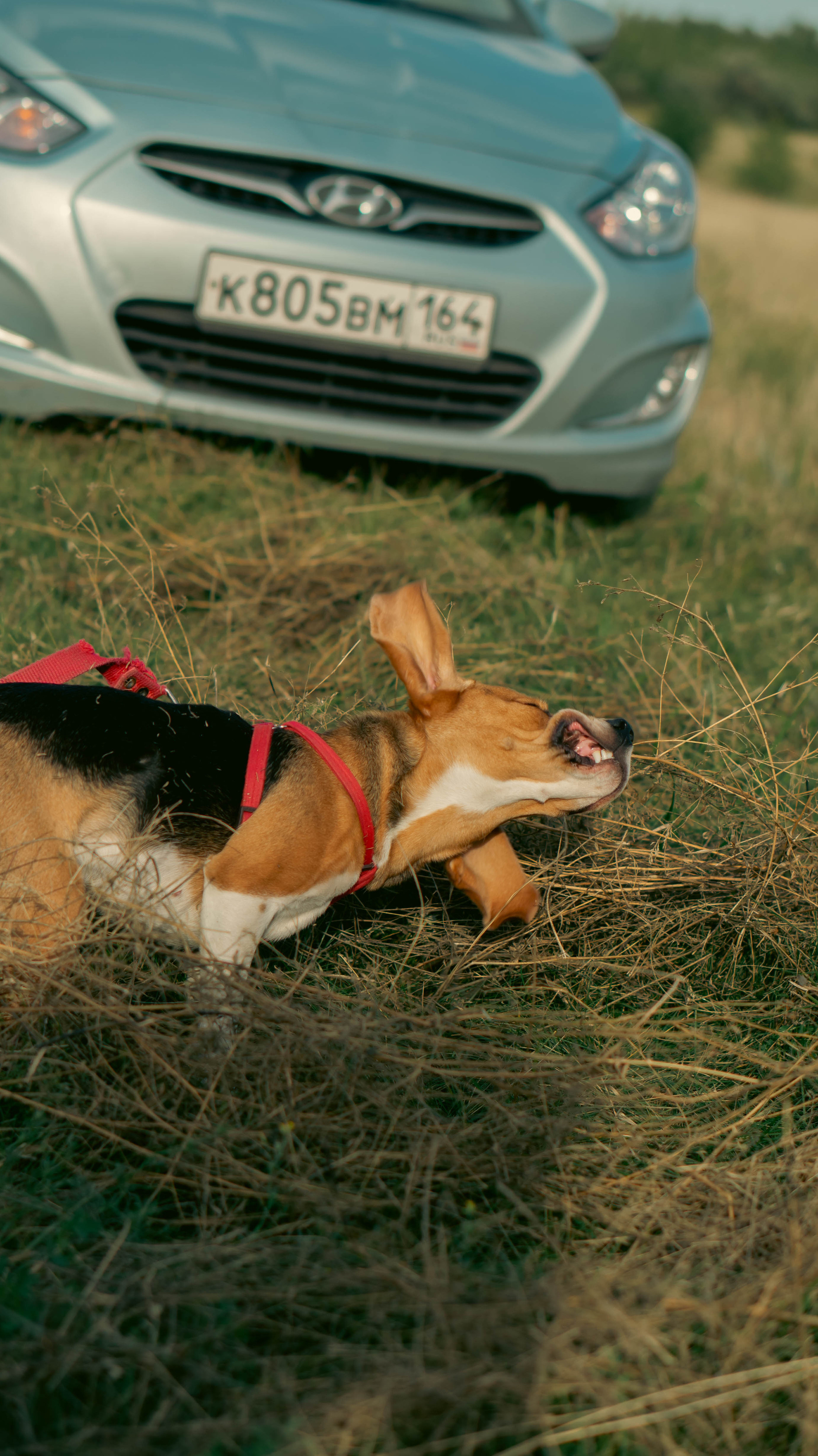 Воздушный шар. ФОТОГРАФ САРАТОВ