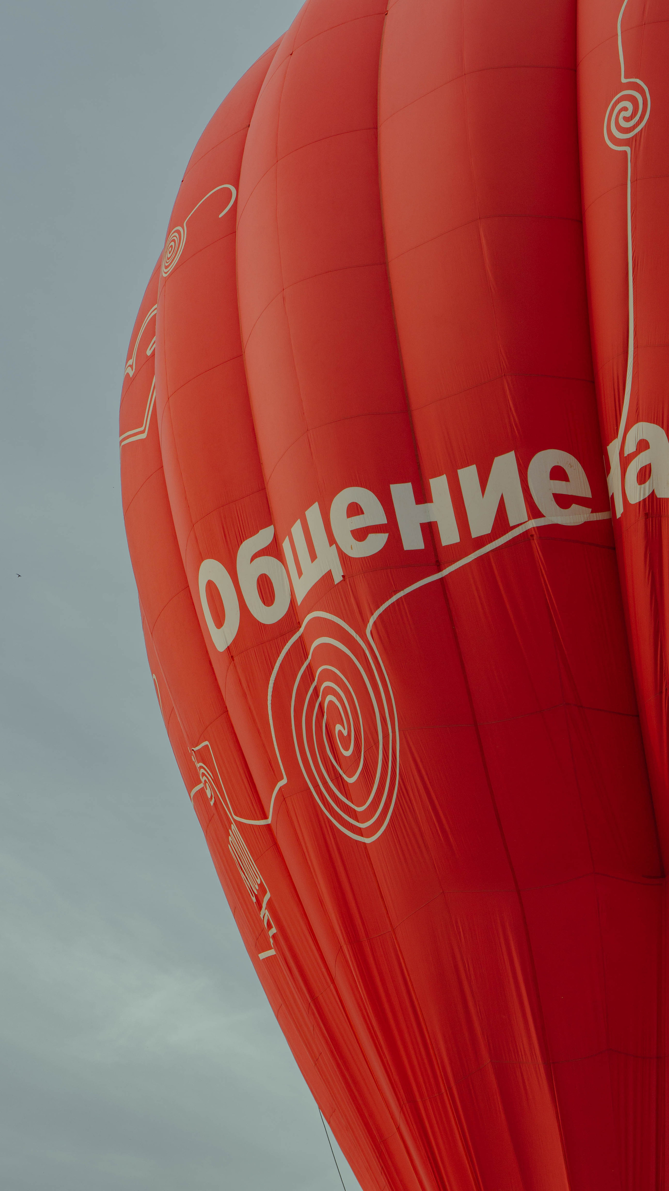 Воздушный шар. ФОТОГРАФ САРАТОВ