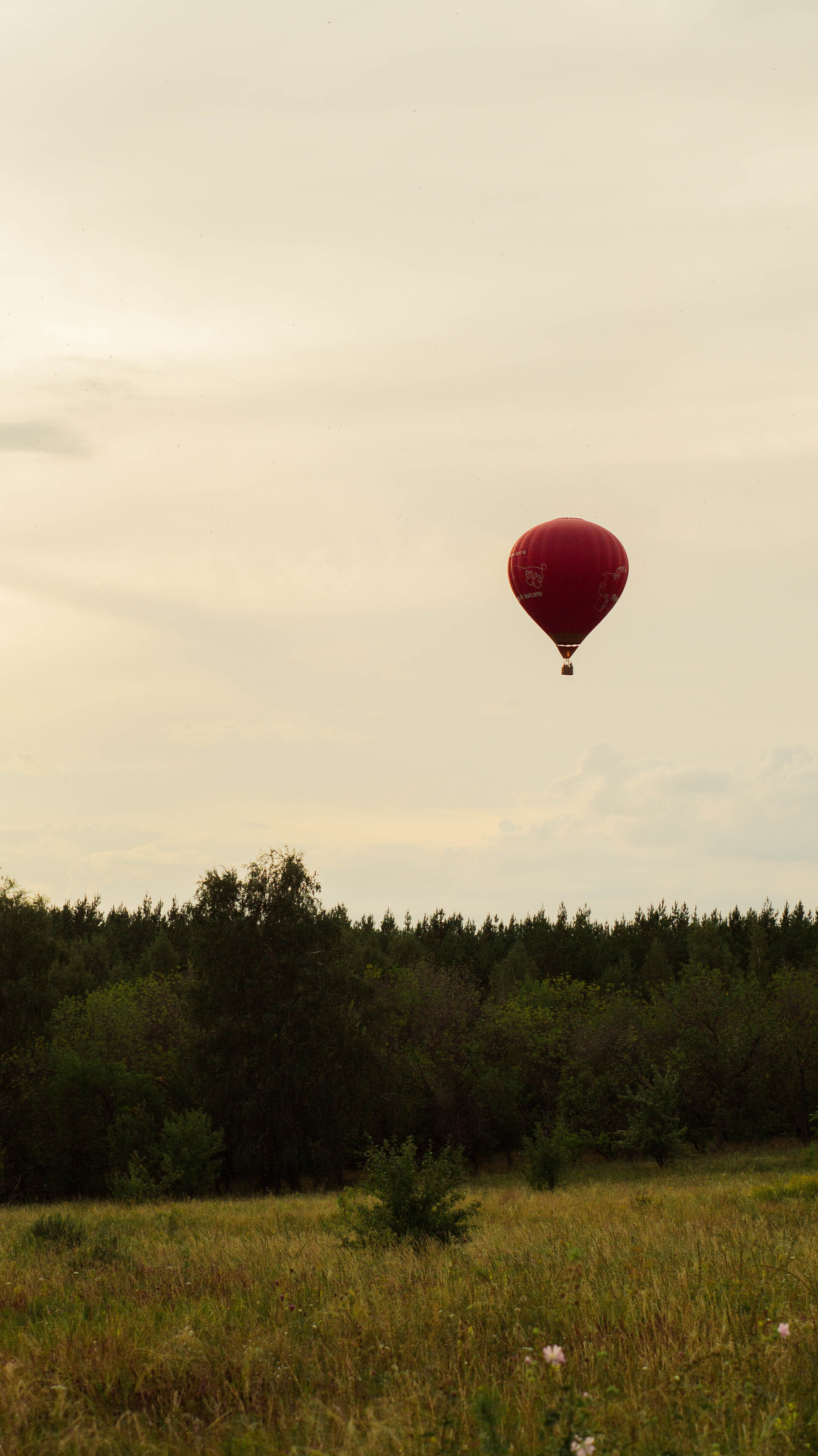 Воздушный шар. ФОТОГРАФ САРАТОВ