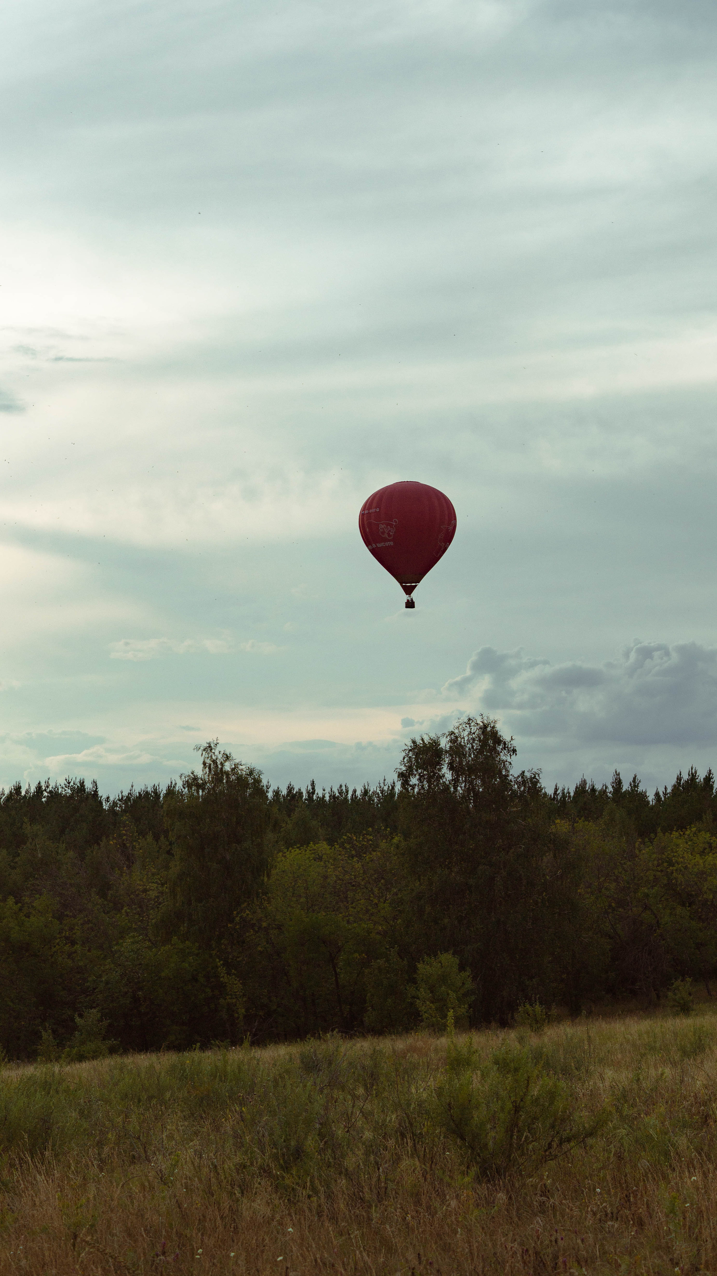 Воздушный шар. ФОТОГРАФ САРАТОВ