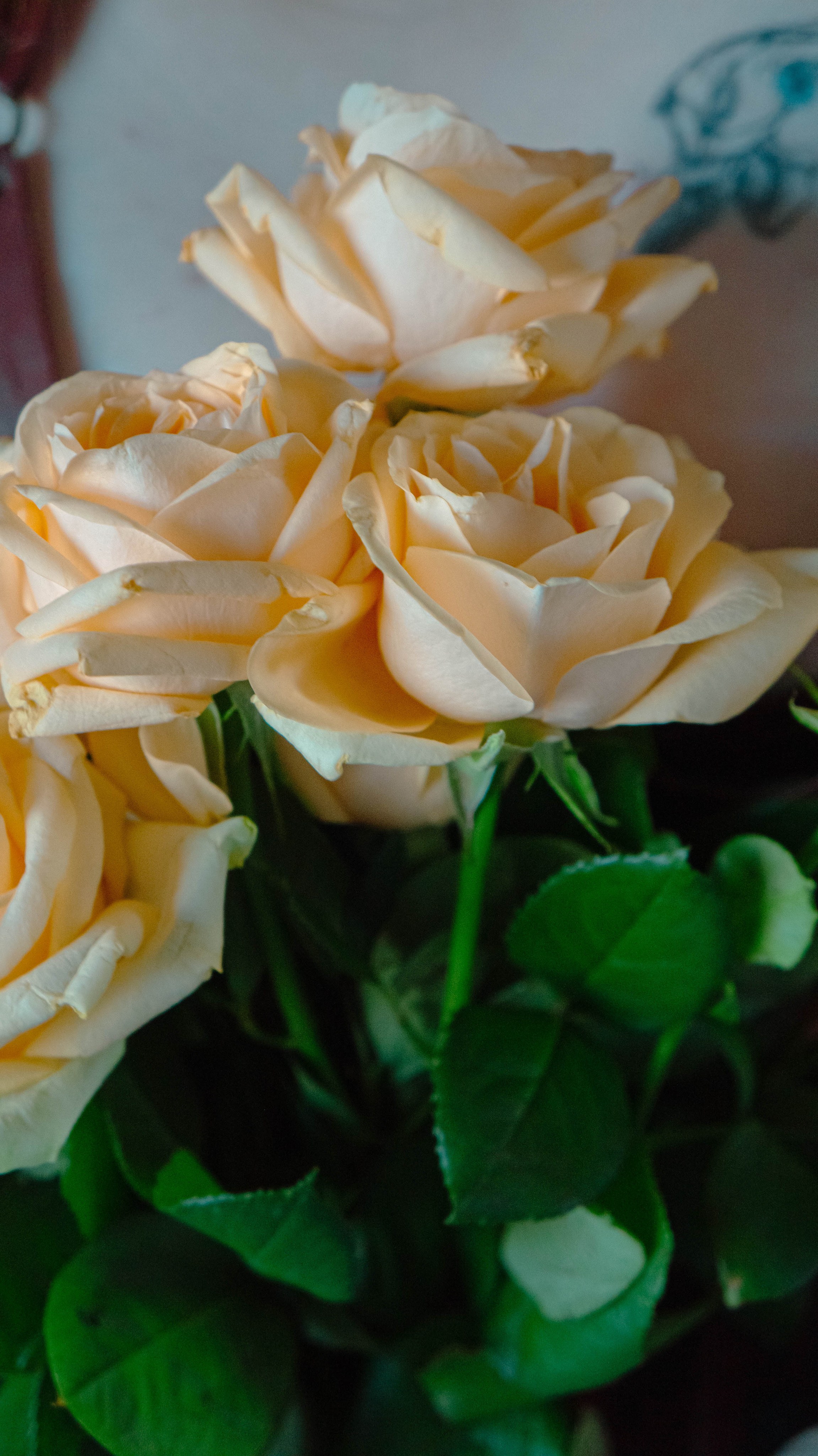 Валентина. ФОТОГРАФ САРАТОВ