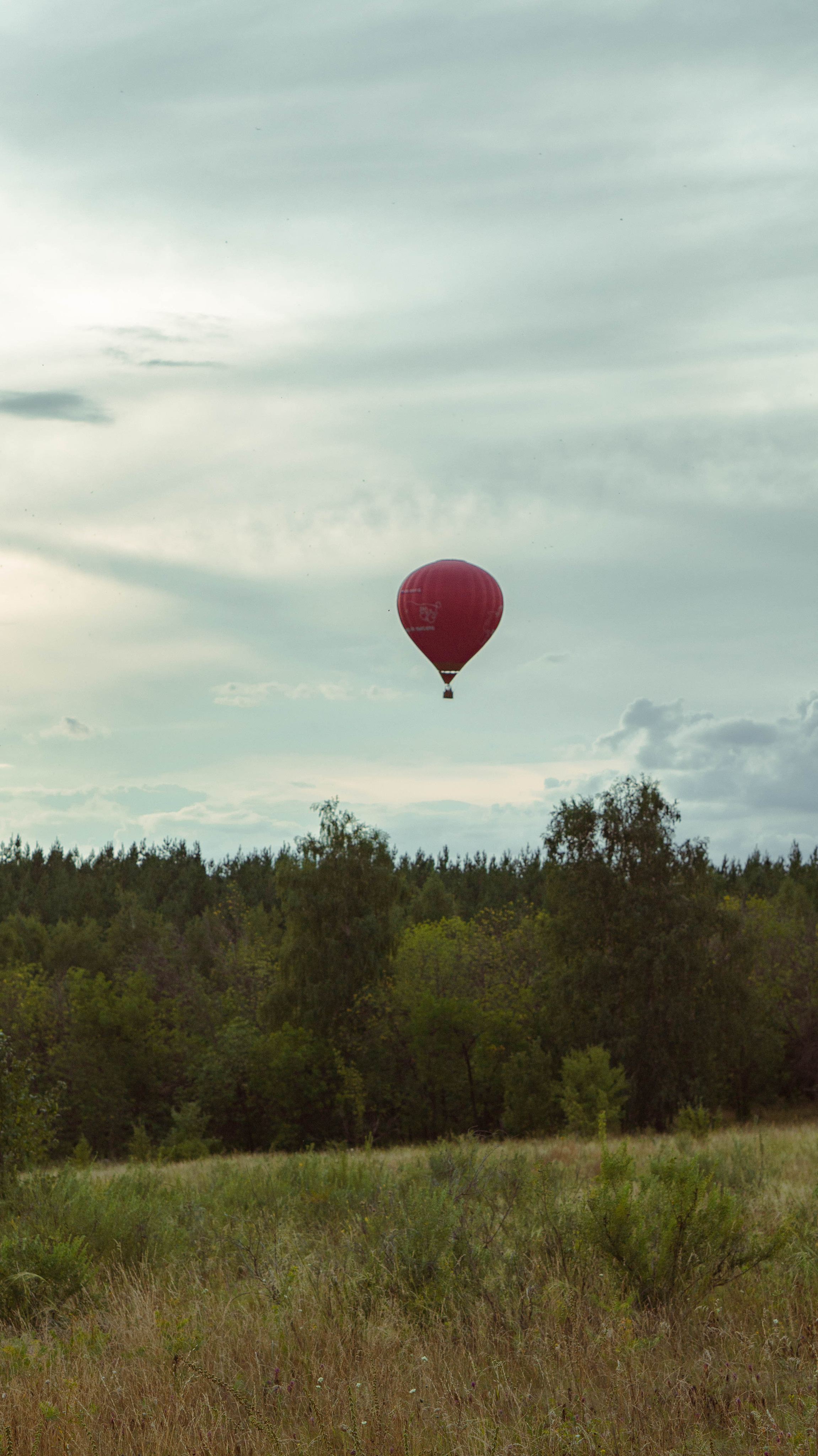 Воздушный шар. ФОТОГРАФ САРАТОВ