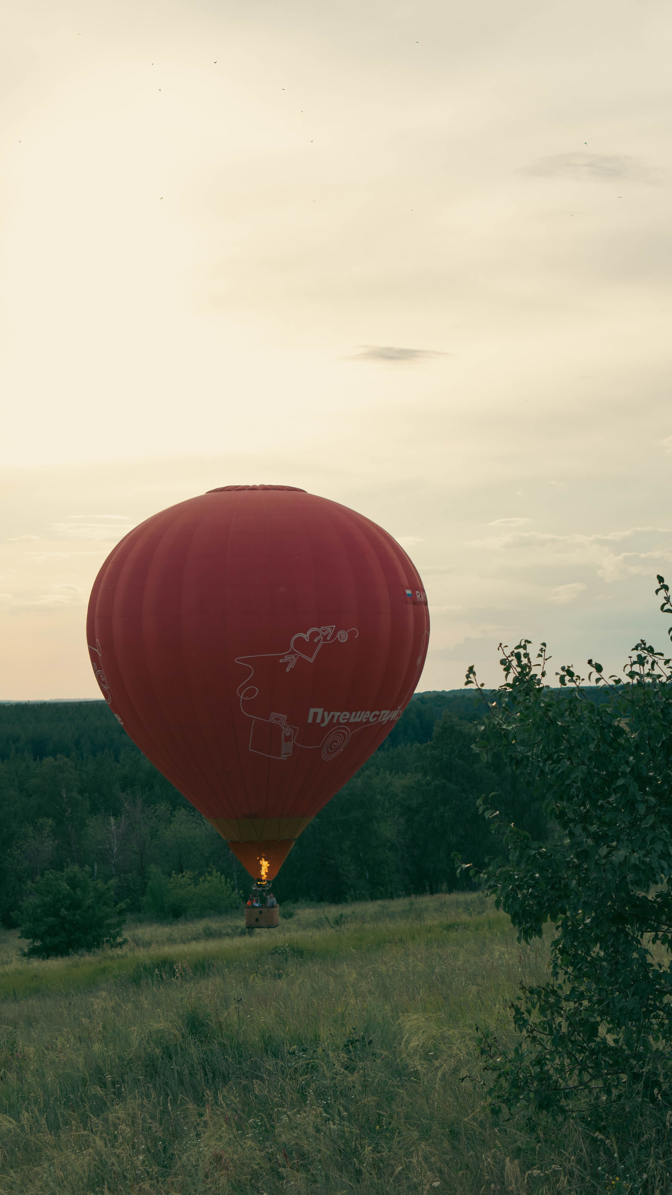 Воздушный шар. ФОТОГРАФ САРАТОВ