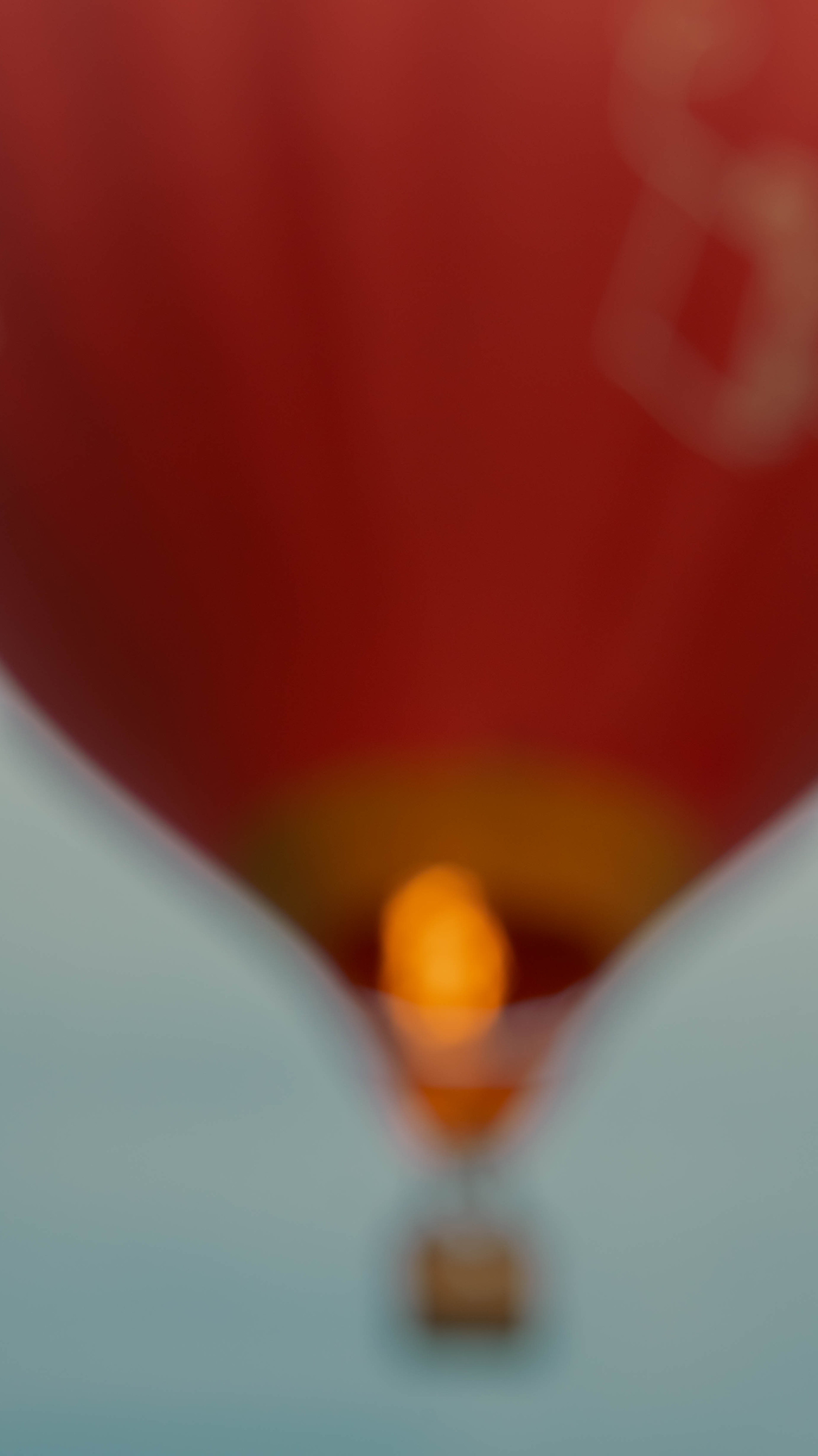 Воздушный шар. ФОТОГРАФ САРАТОВ