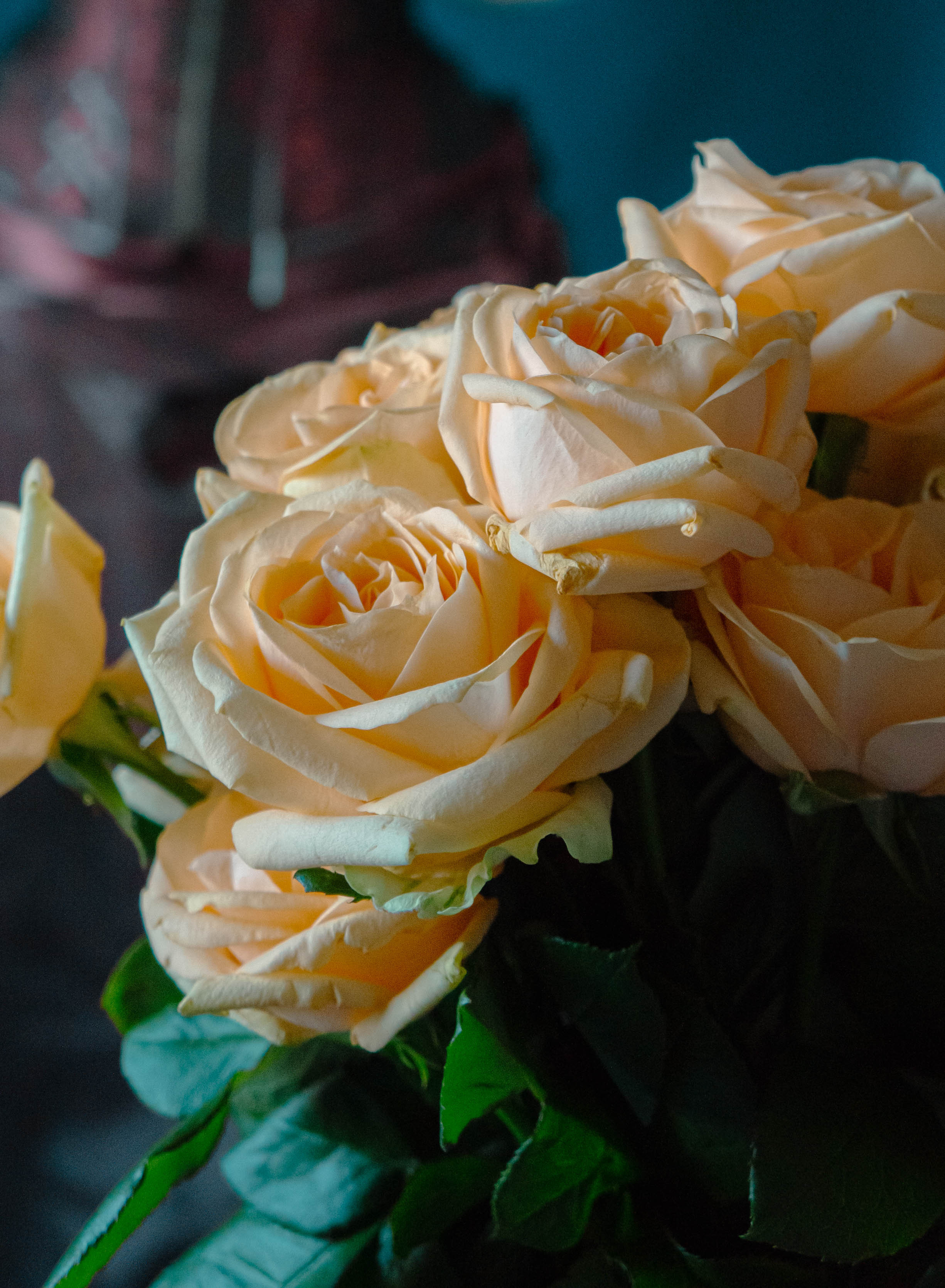 Валентина. ФОТОГРАФ САРАТОВ