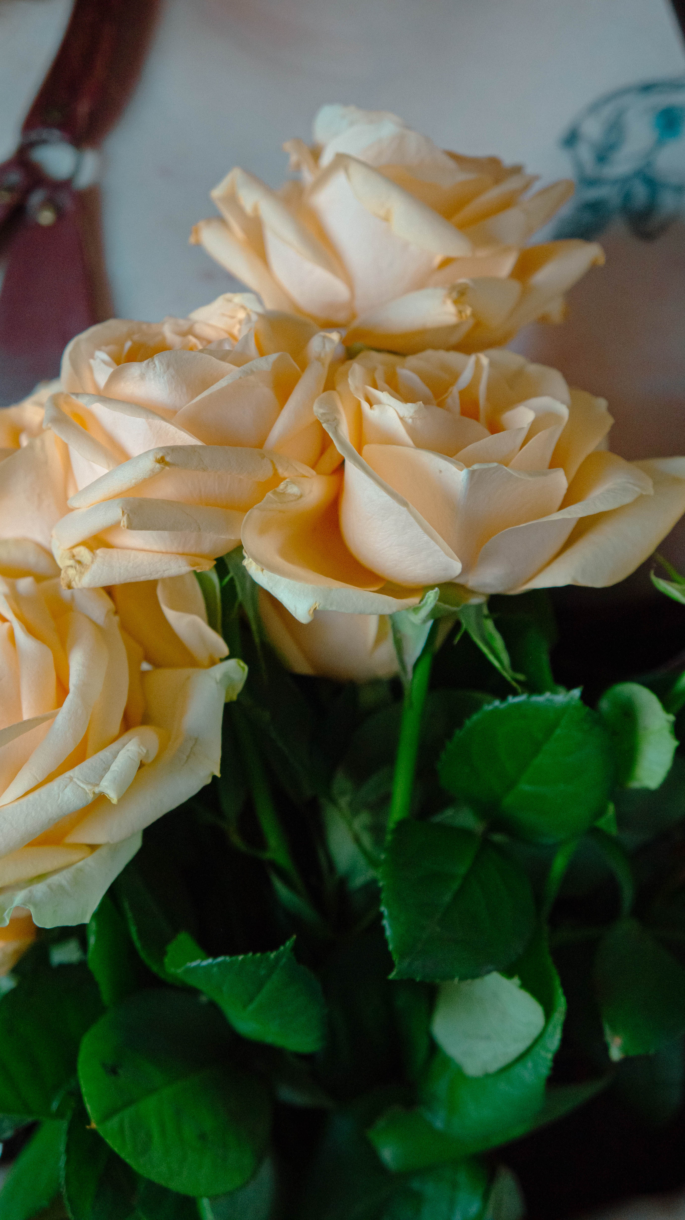 Валентина. ФОТОГРАФ САРАТОВ