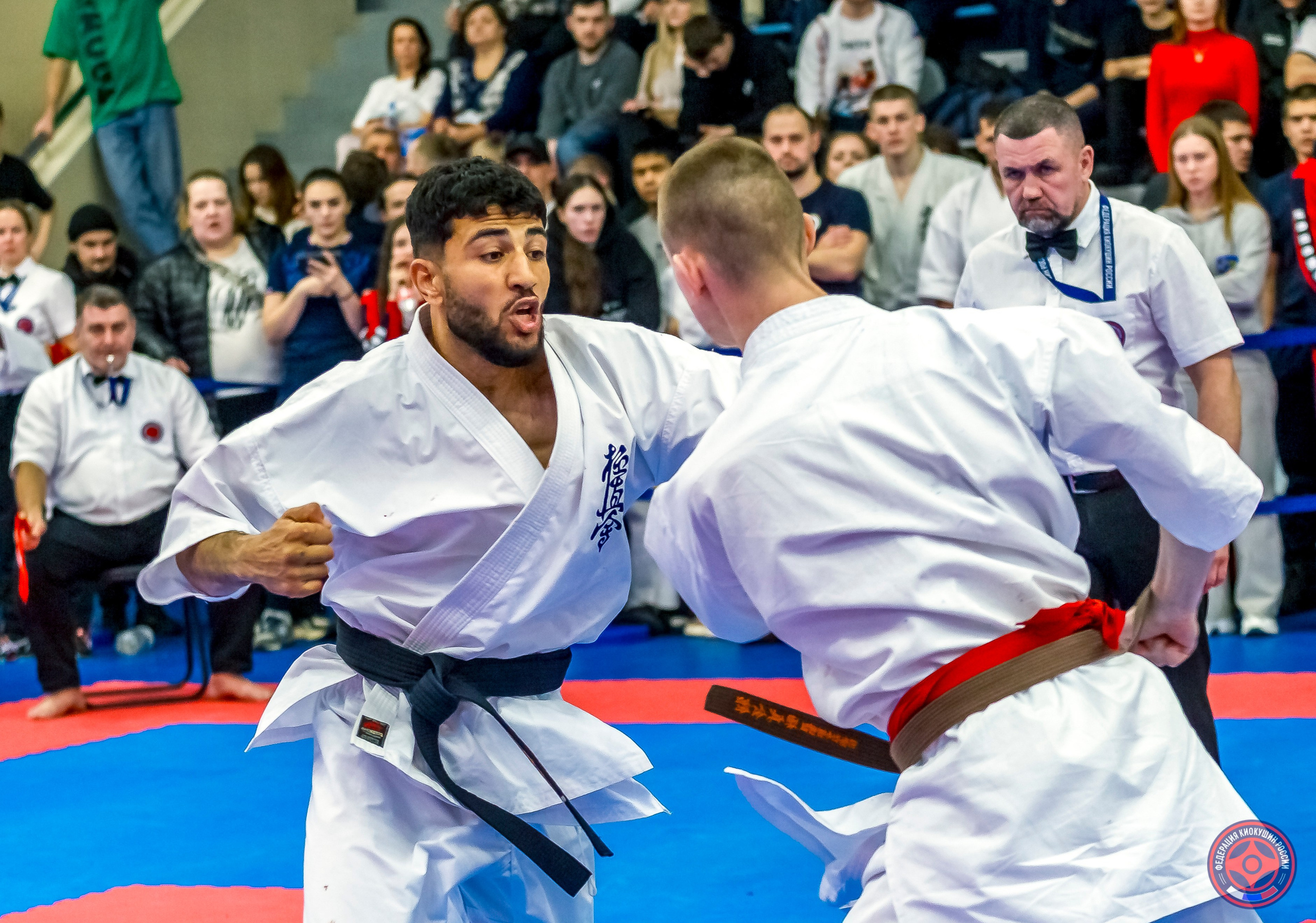 Международный турнир по киокушин «Открытый кубок Seiken». Репортажная съемка в Москве и области. Анималистика