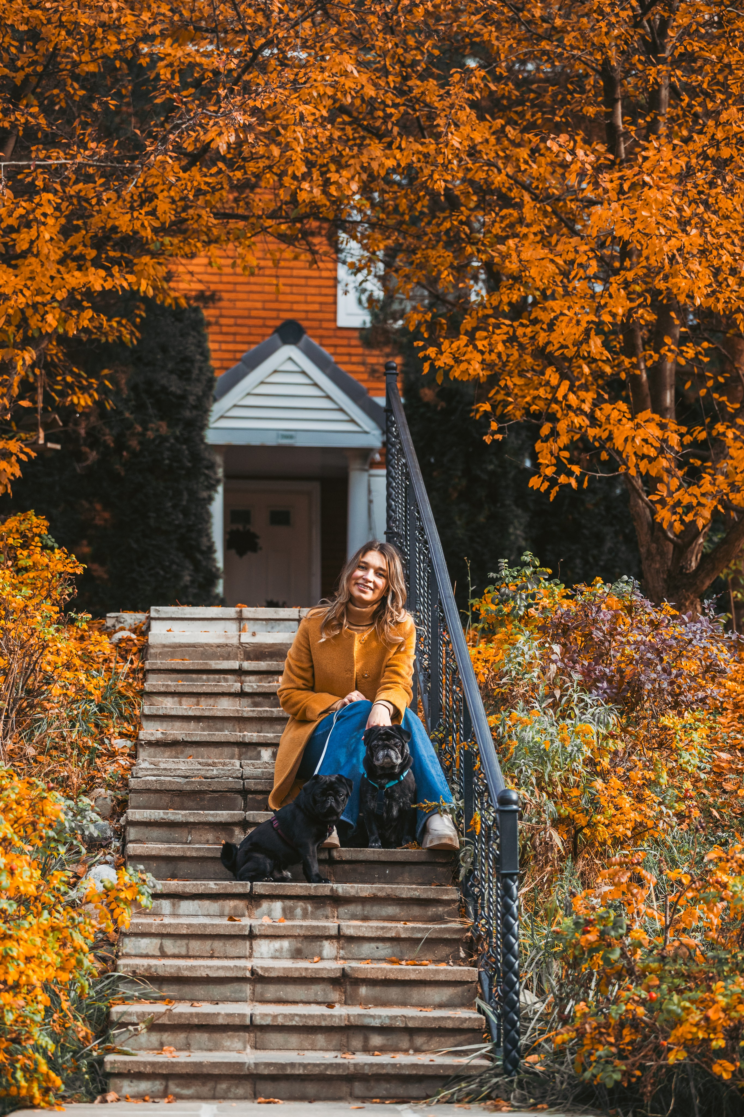 Оля, Харви, Луис. Фотограф-анималист Татьяна Степанова